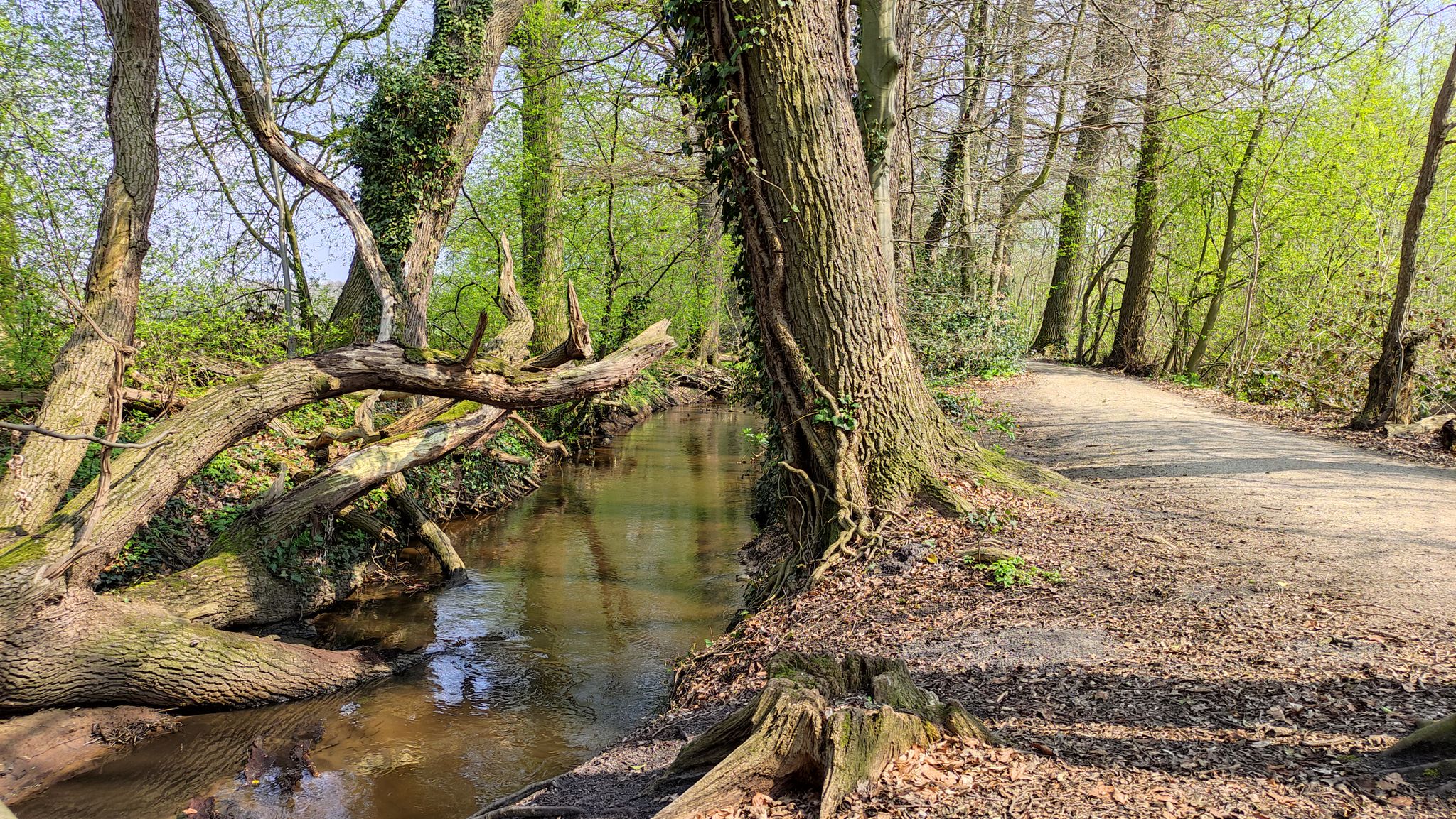 Landerbach