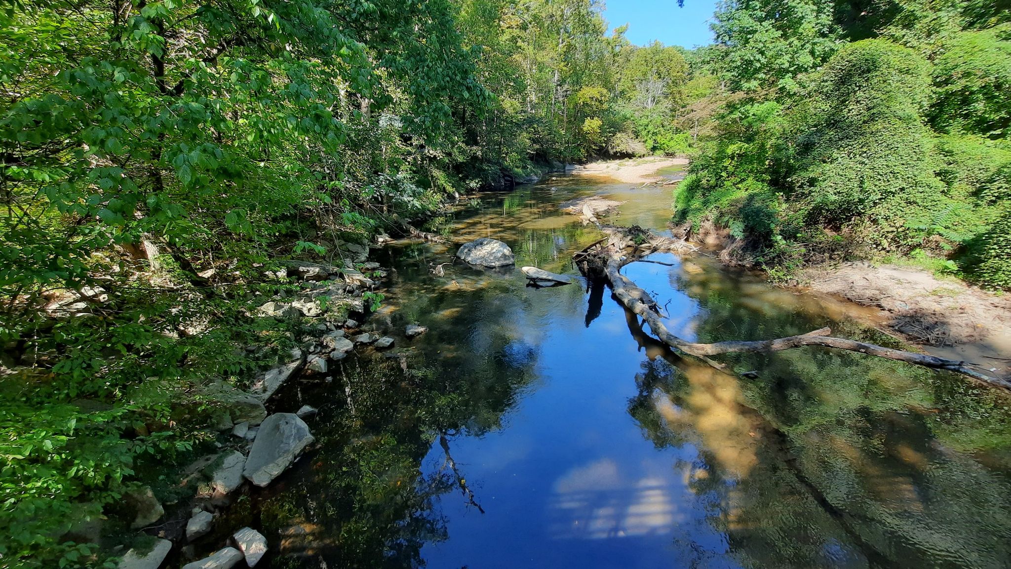 A calm river flows through a lush green forest on a sunny day. - Valley Trail