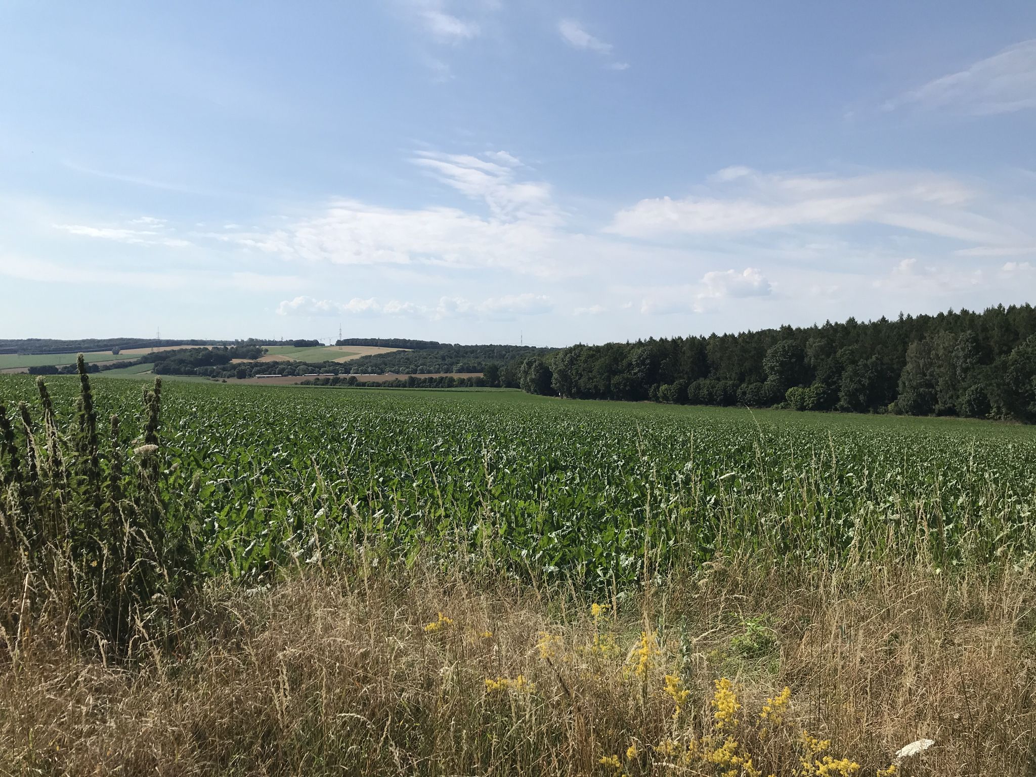 Jetzt geht es raus in die Feldmark.