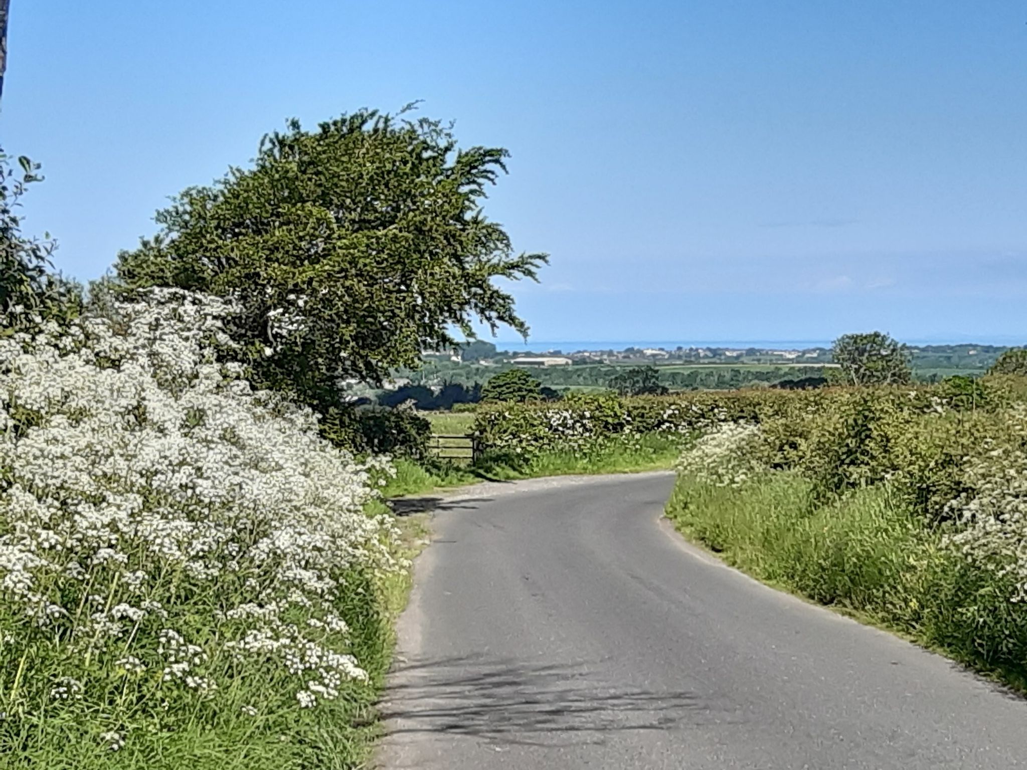 Looking out to Workington and the sea