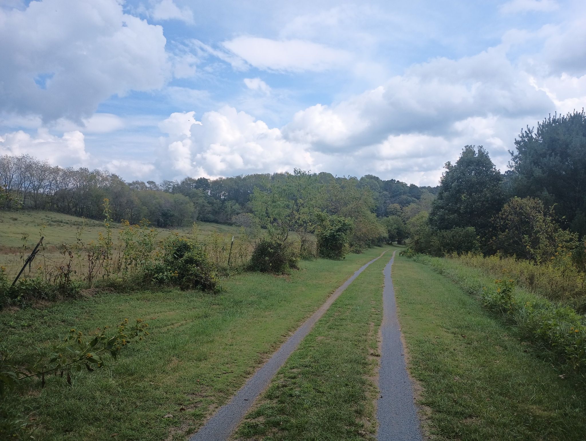 A grassy path with two dirt tracks leads through green fields under a cloudy sky. - Damascus City Park – Holston River Confluence loop from Damascus
