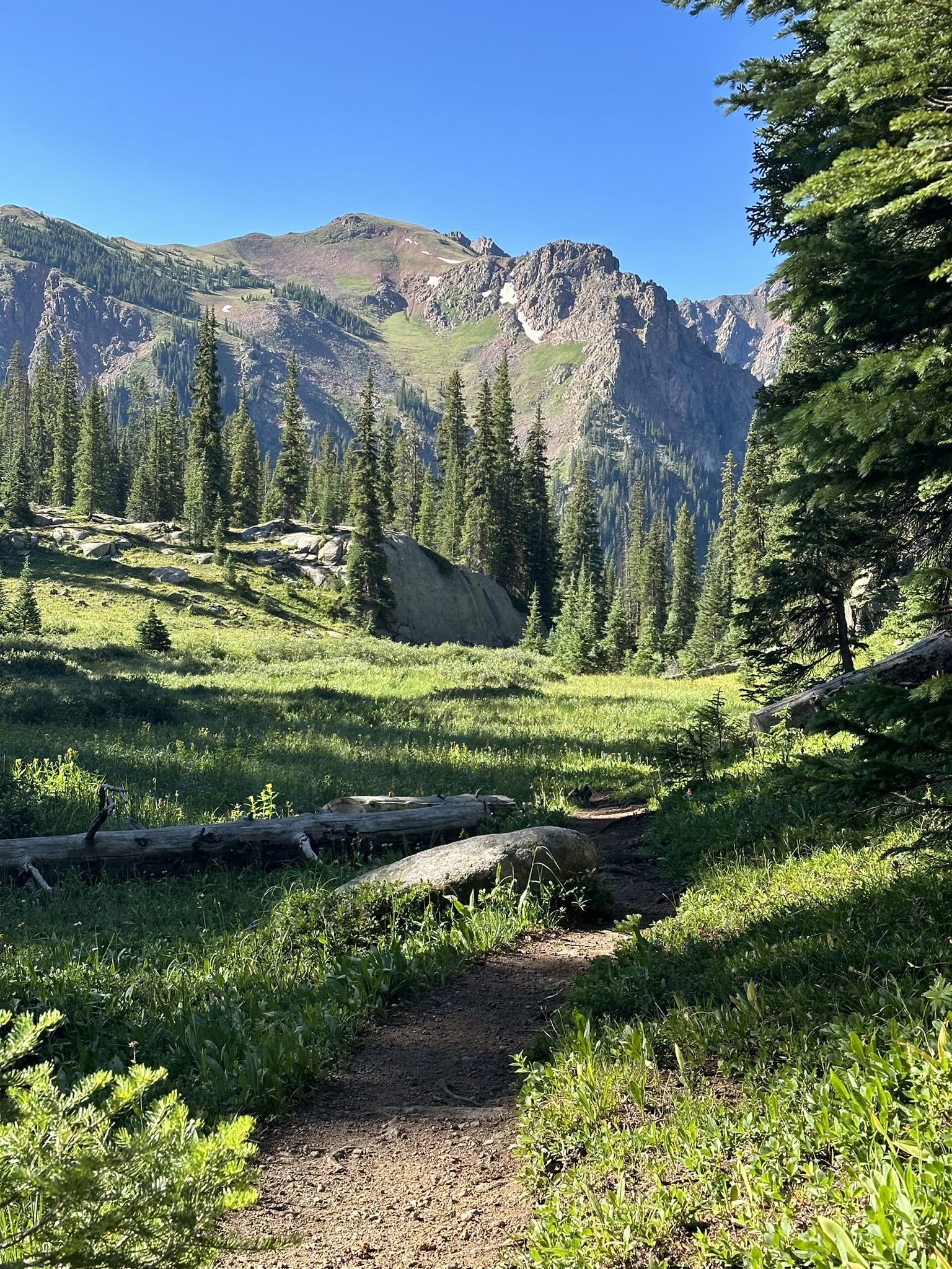 Sunny dirt path through a green meadow with pine trees and mountains. - Gore Lake Trail