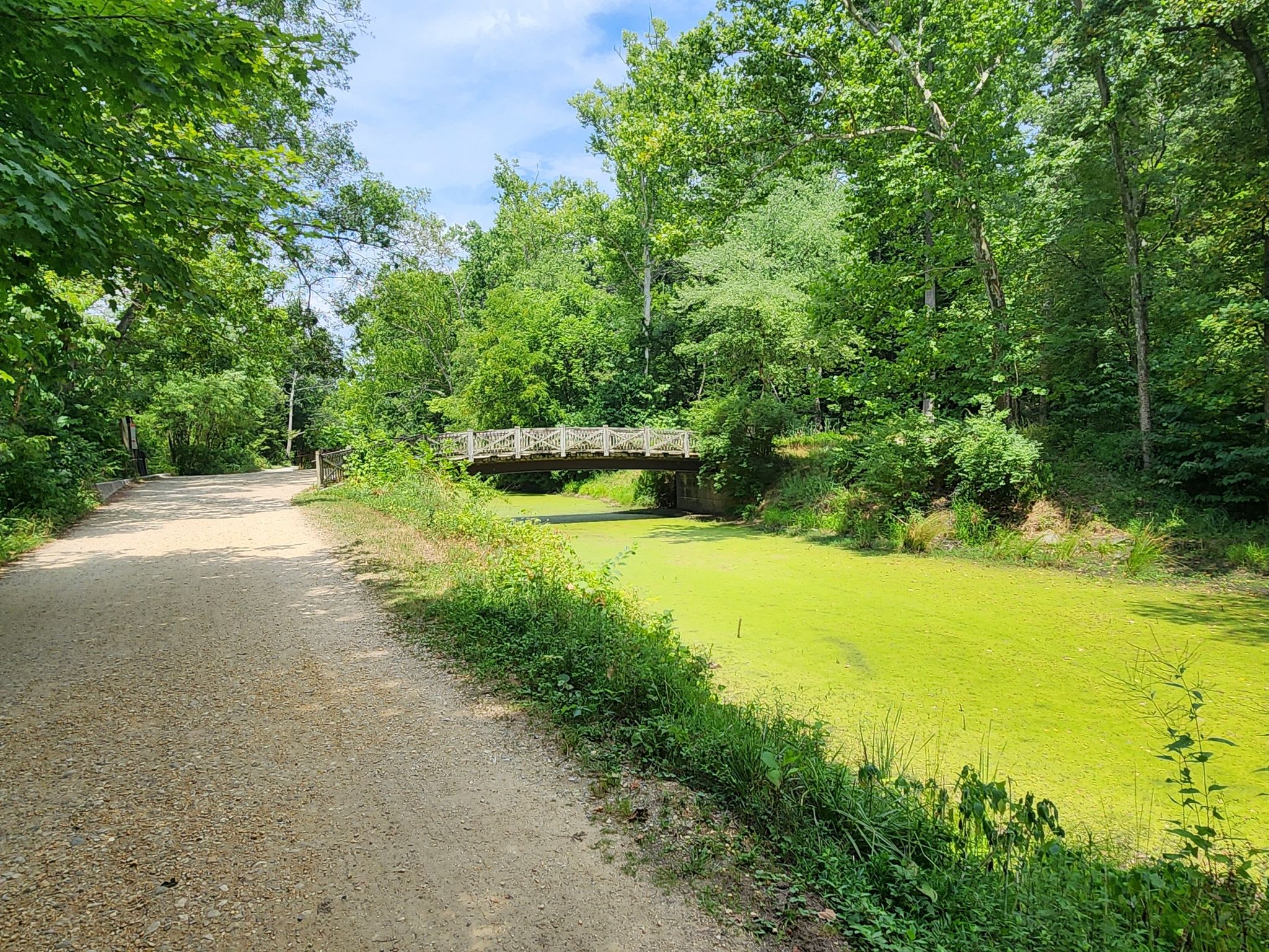 Wooden bridge over a green, algae-covered waterway next to a dirt path. - Korean War Veterans Memorial – World War II Memorial loop from Potomac