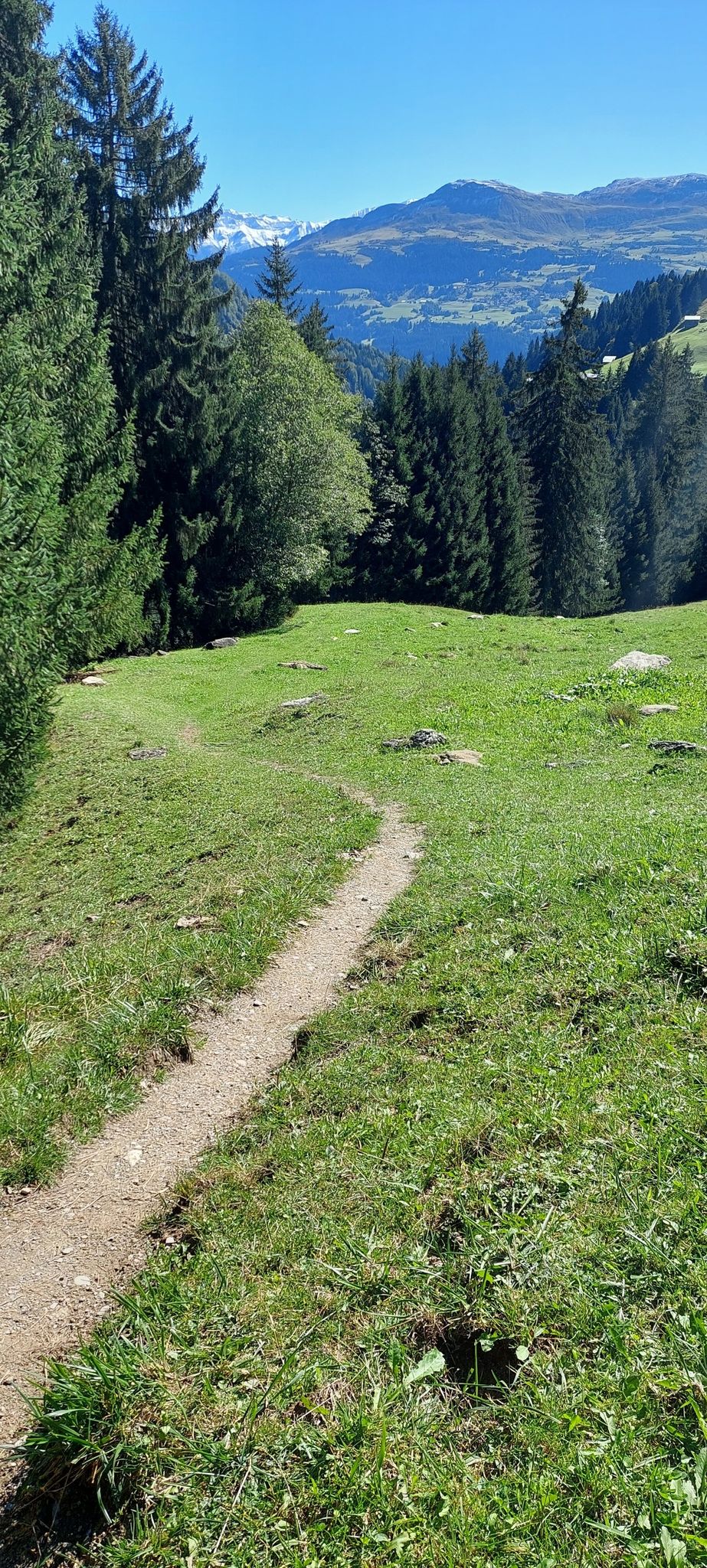Nach vielen Kiesstrassen endlich wieder ein Trail