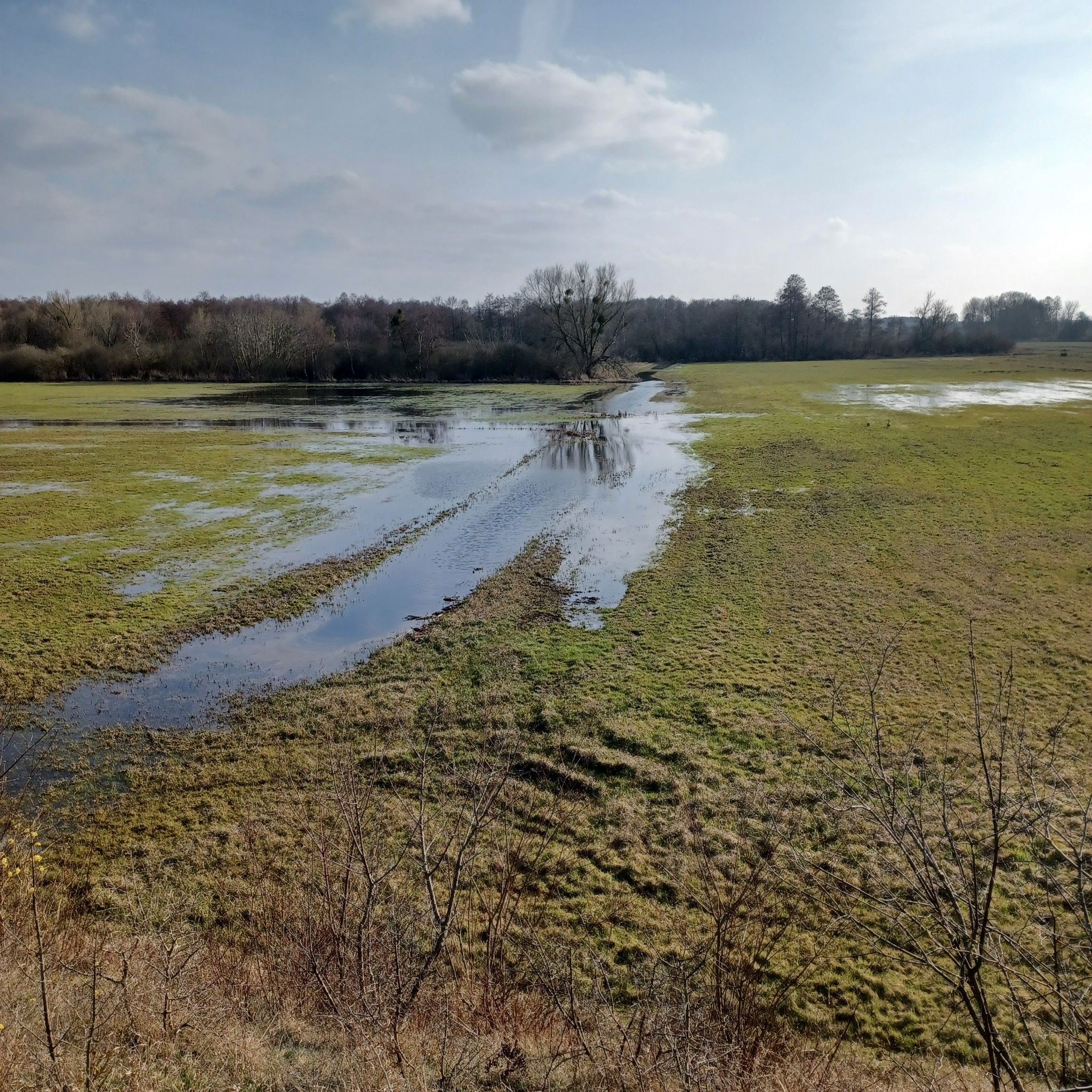 Viel Wasser derzeit