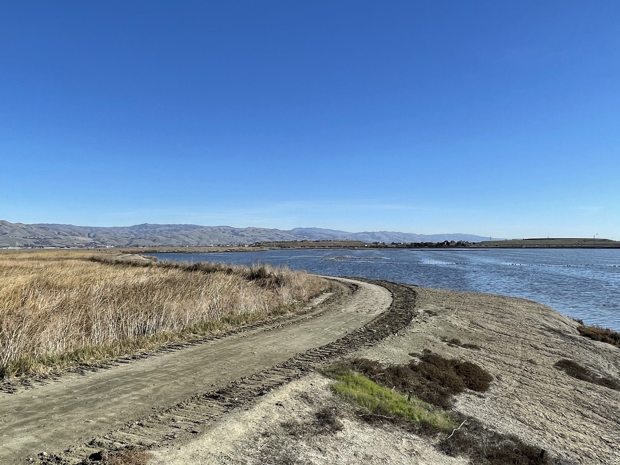 Dirt path curves beside a wide body of water and marshland under a clear sky. - Mallard Slough Trail