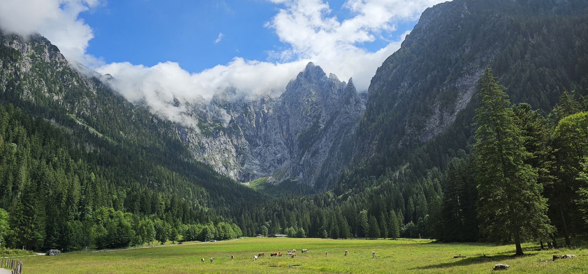 Höher Göll