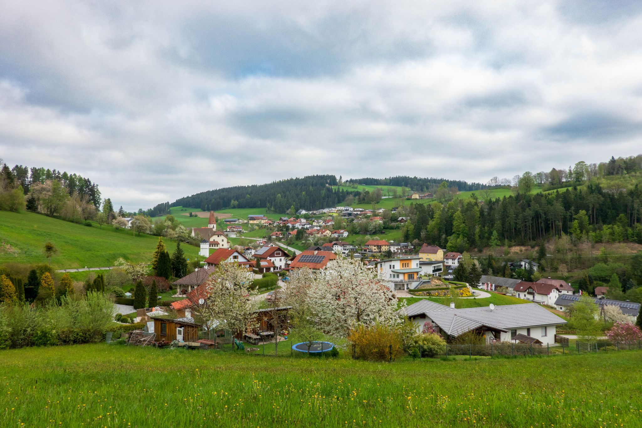 Hirschbach im Mühlkreis