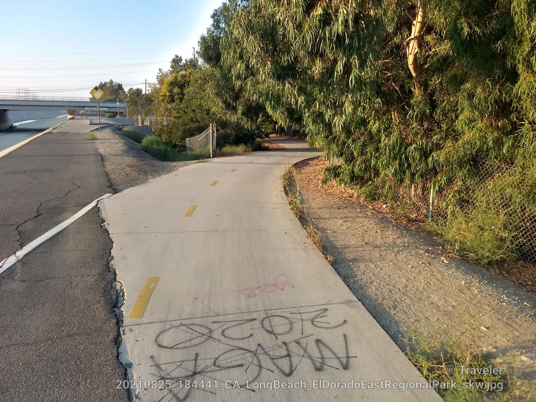 Paved path with graffiti curving into dense green trees at sunset. - San Gabriel River Trail – El Dorado East Regional Park loop from La Palma