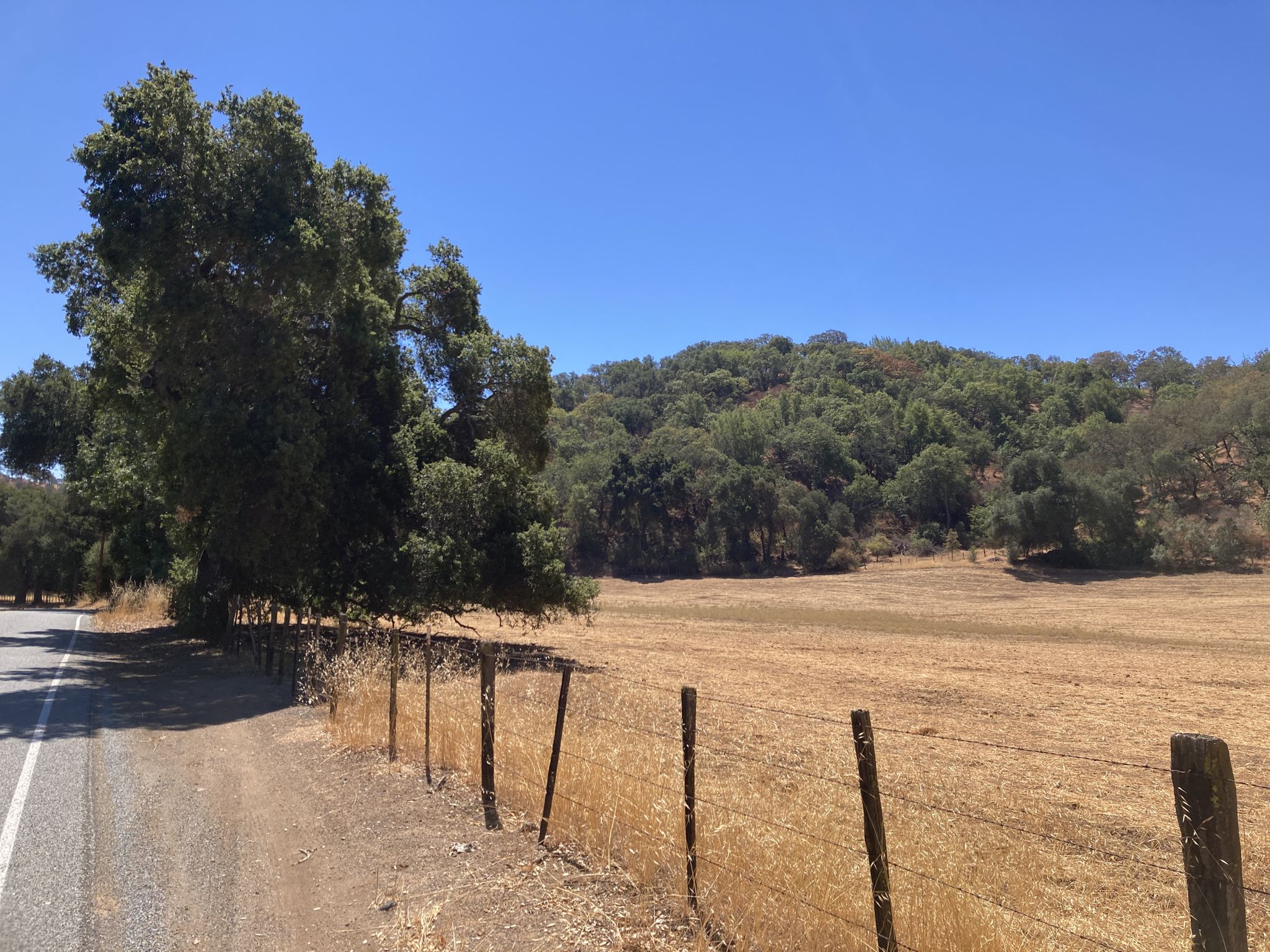 A fence separates a paved road from a dry, golden field with distant green hills. - San Felipe Road – San Felipe Road loop from Evergreen Valley College