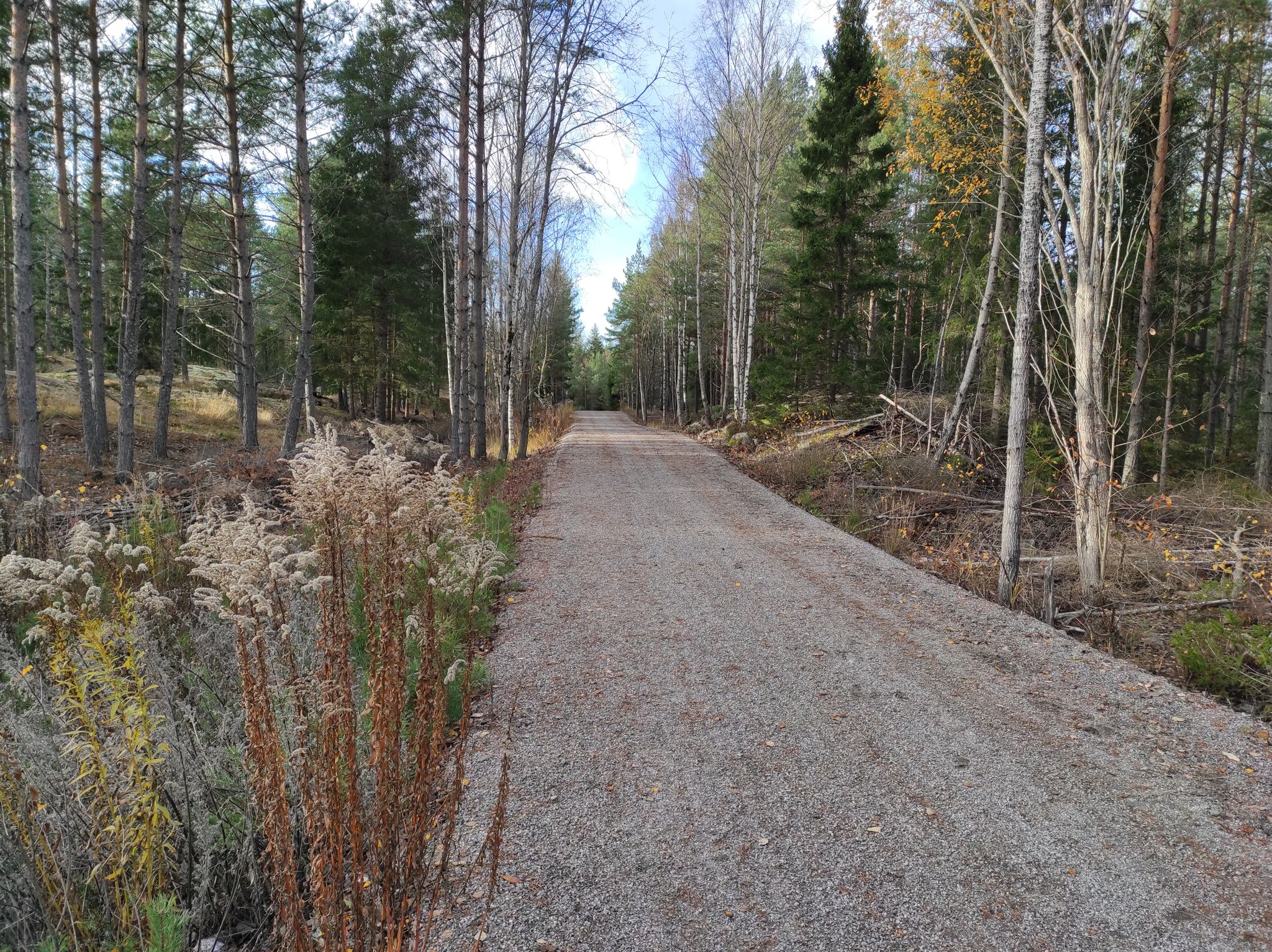 Maybe the smoothest gravel I've ever ridden!