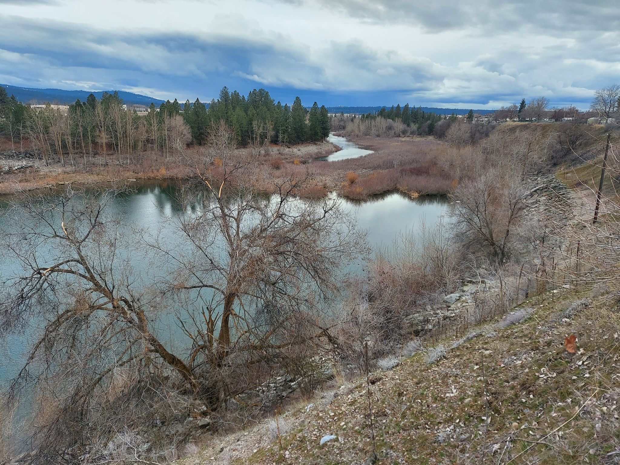 River winding through bare trees and wetlands under a cloudy sky. - Spokane River Centennial Trail – Upriver Dam Reservoir loop from Spokane River Centennial State Park
