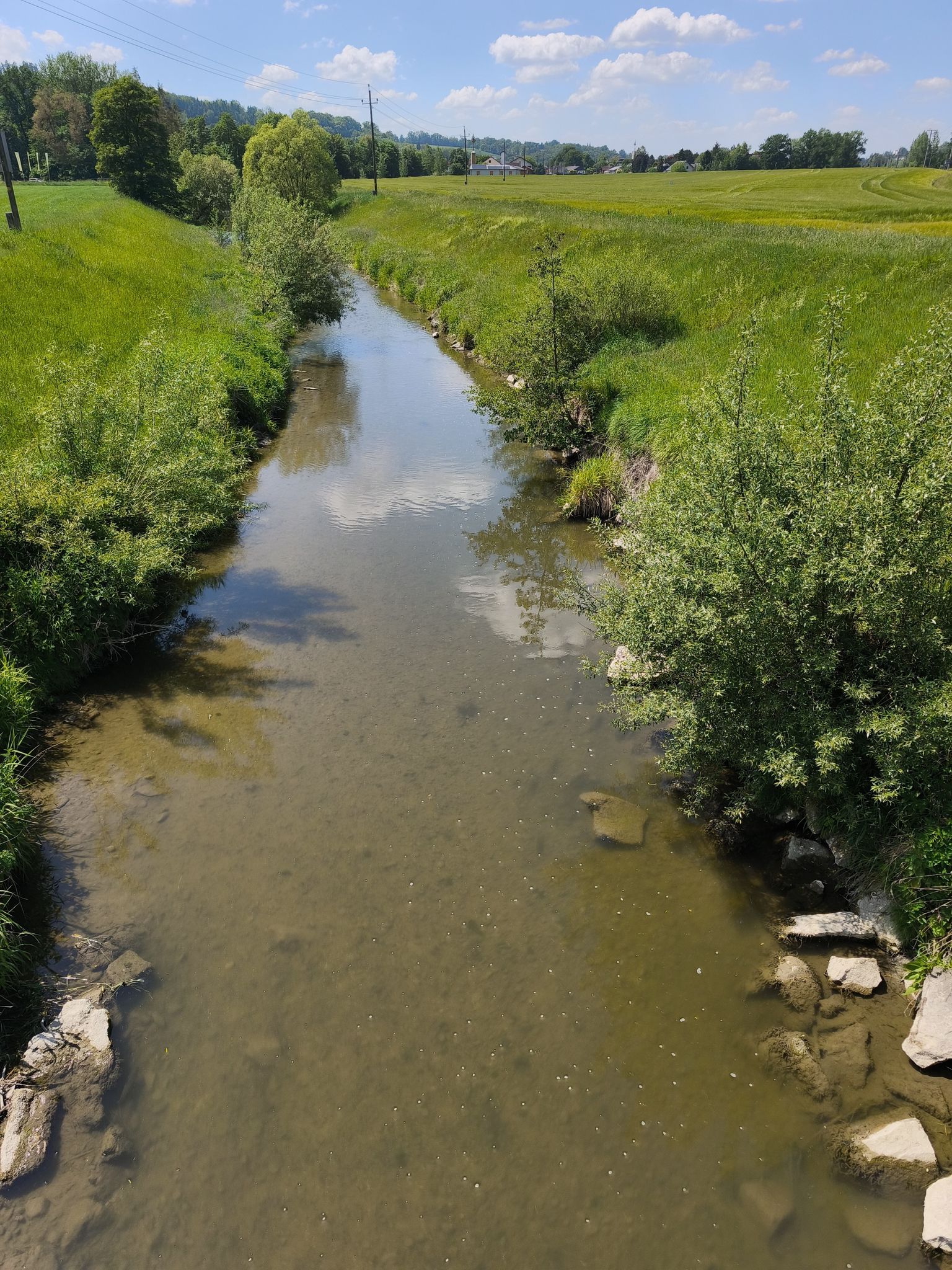 Trattnach bei Dingbach