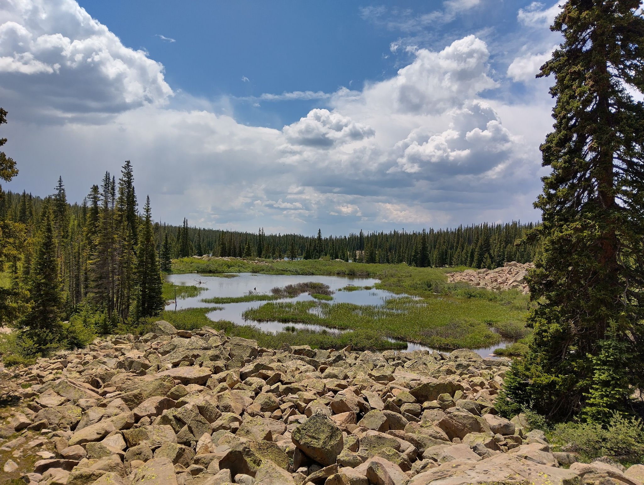 Marshy lake surrounded by pine trees and rocks under a cloudy sky. - Colorado Trail and Saint Kevin's Lake Trail