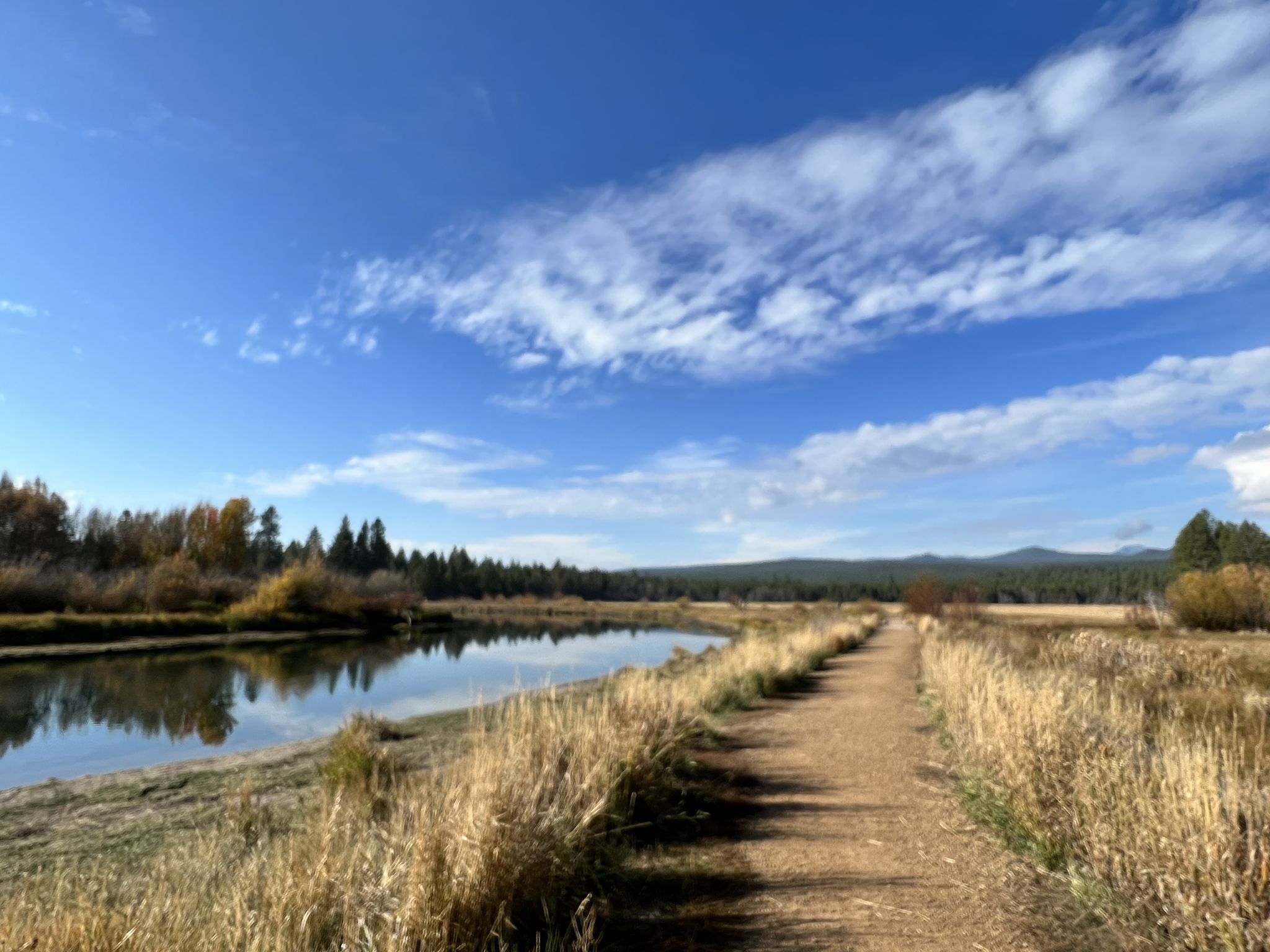 Dirt path beside a calm river, autumn trees, and blue sky. - Deschutes River Trail: Dillon Falls to Benham Falls