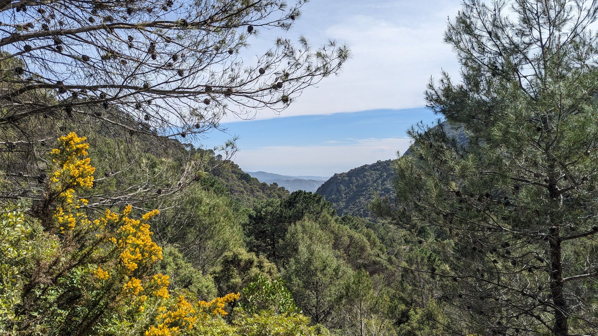 View towards Marbella