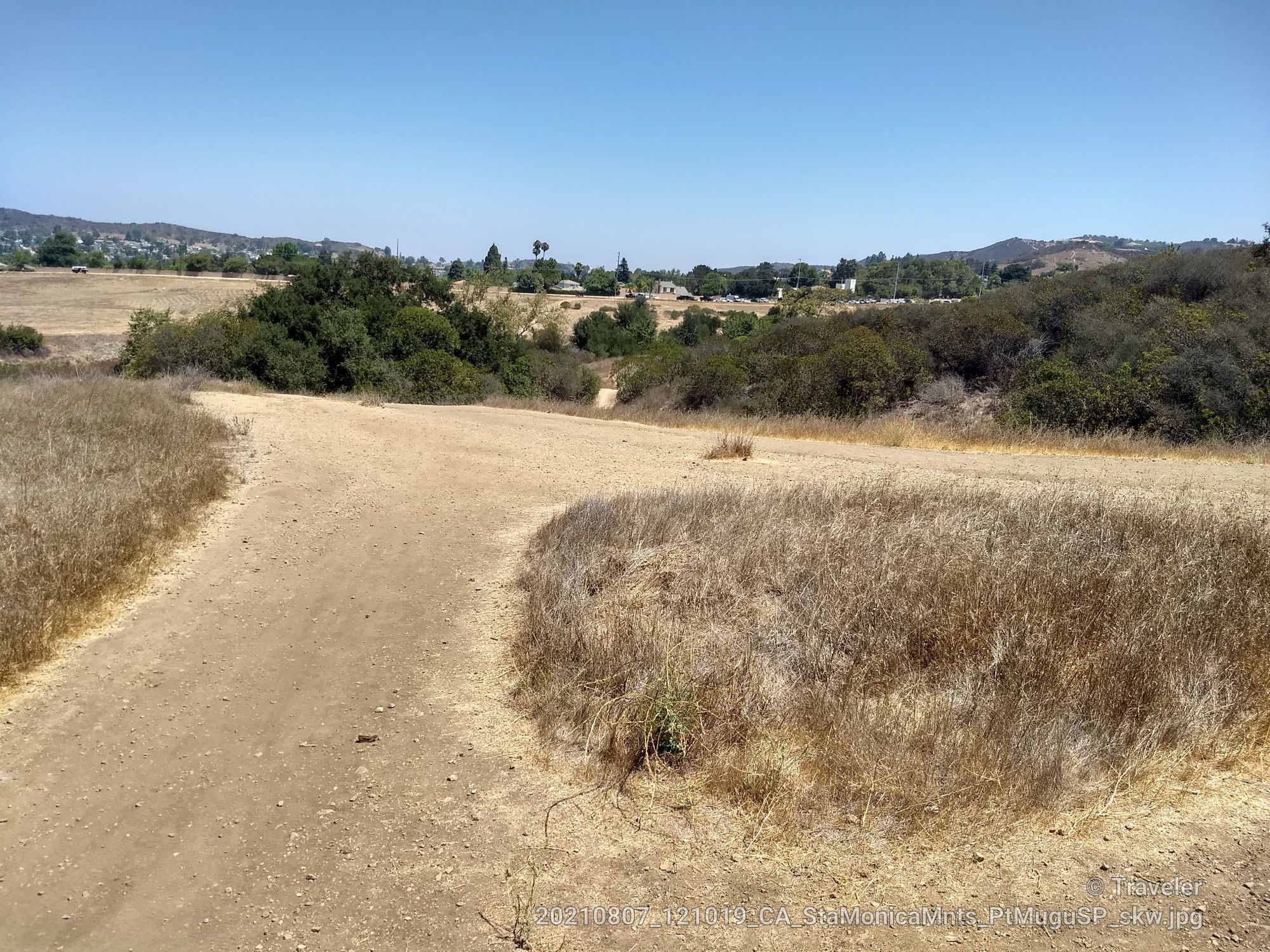 Dirt path forks in dry, grassy hills under a clear blue sky. - Sycamore Canyon loop