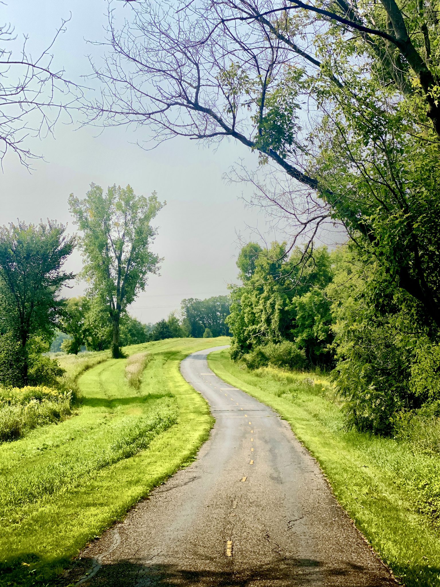 Winding paved path through lush green trees and sunlit grass. - Maps with Shelter – Dakota Rail Regional Trail loop from Wayzata