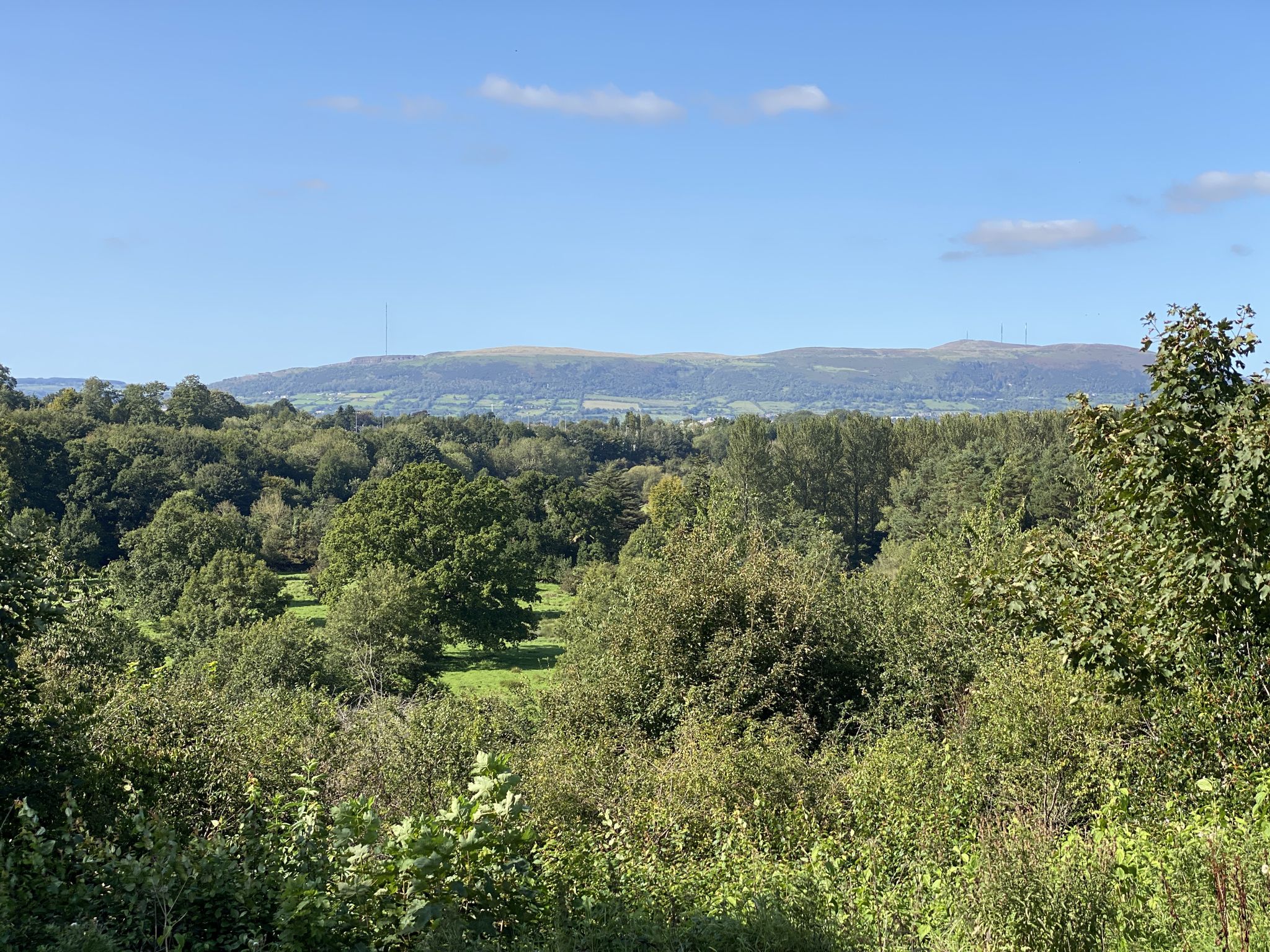 Great scenes over Belfast across to Divis and Black Mountain.