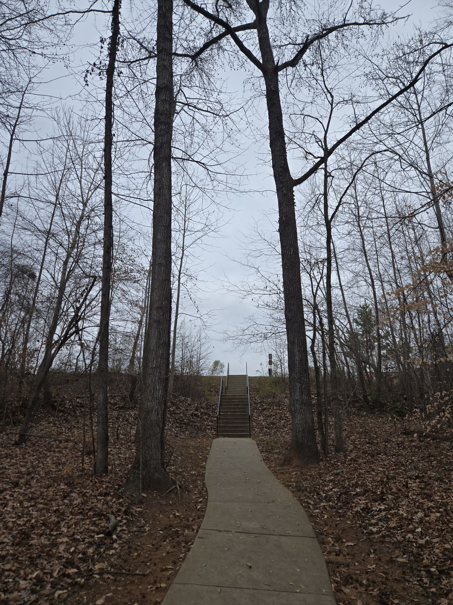 Concrete path leads to stairs between two tall, bare trees under an overcast sky. - Hector H. Henry II Greenway: Riverwalk