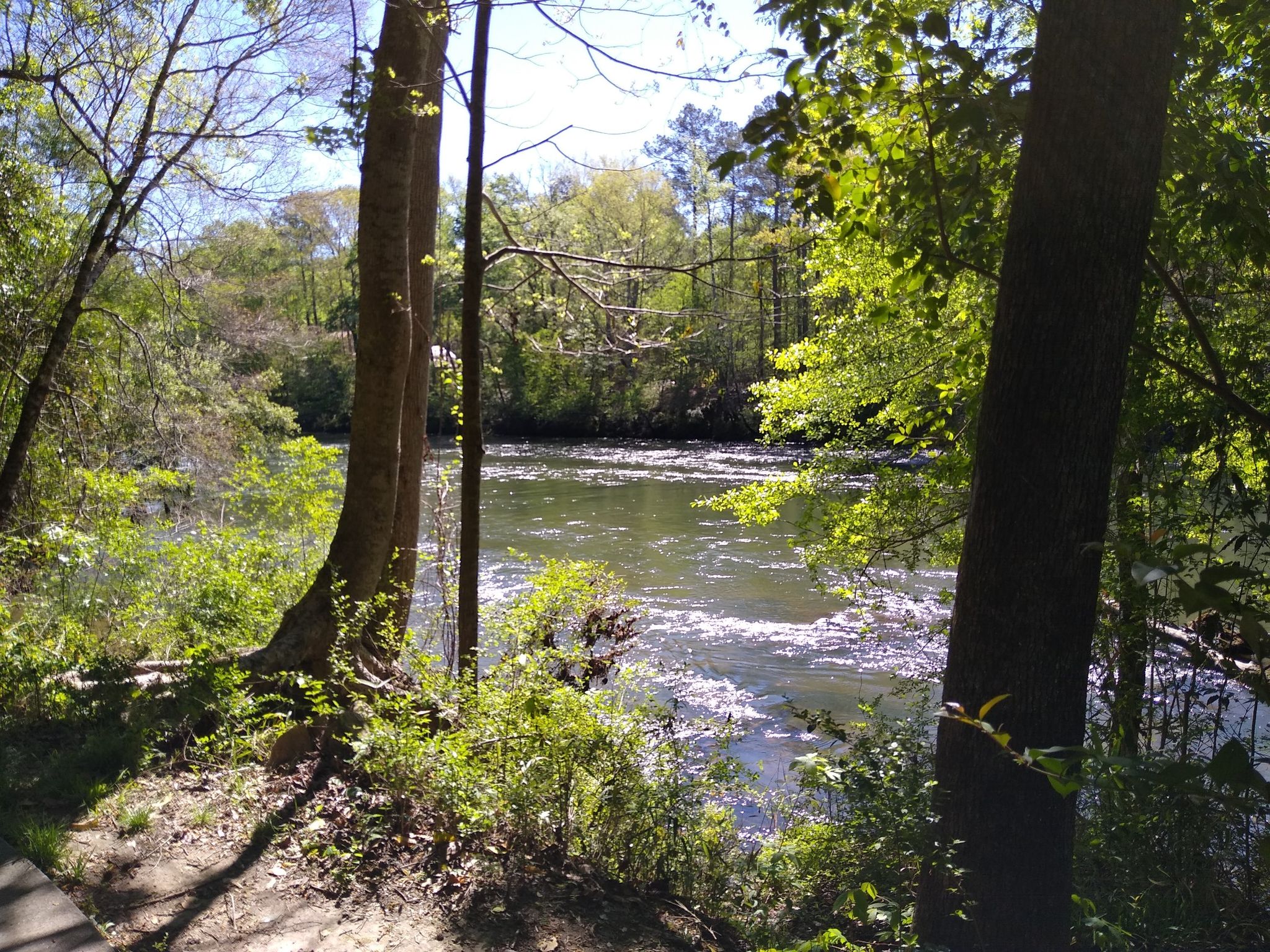 Sunny view of a wide river through green trees and dappled light. - Greenway Trail
