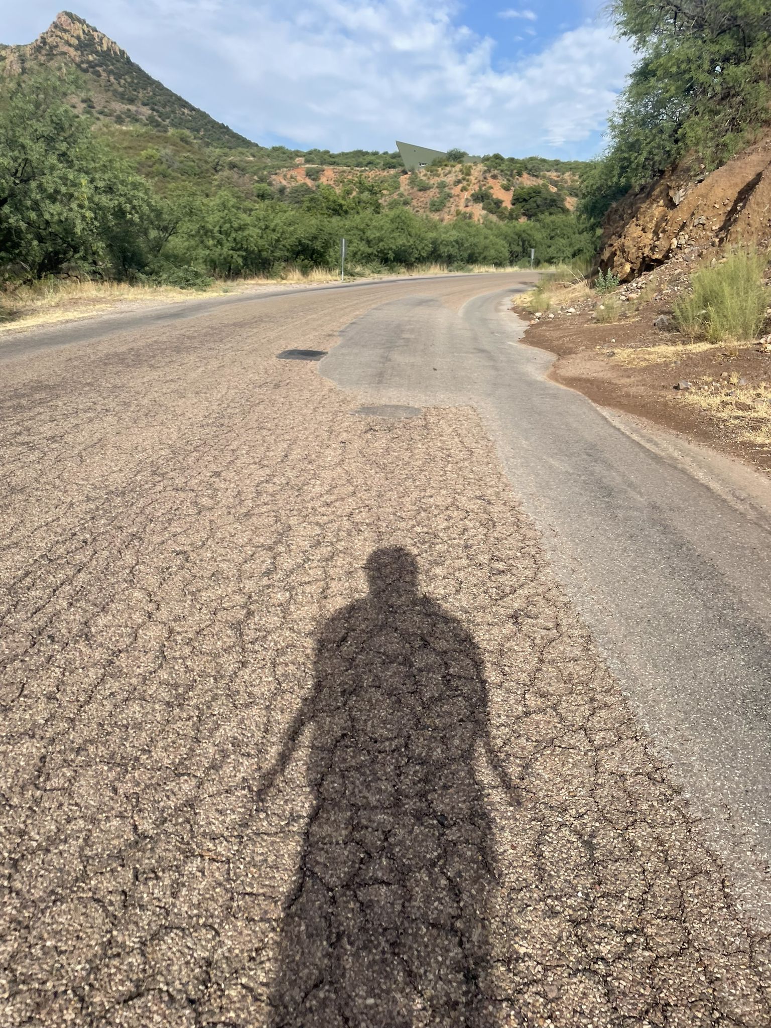 A long shadow of a person stretches over a cracked asphalt road. - Harshaw Road Trailhead – Harshaw Townsite loop from Patagonia