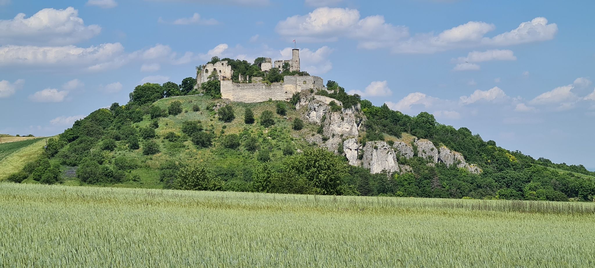 Burg Ruine Falkenstein