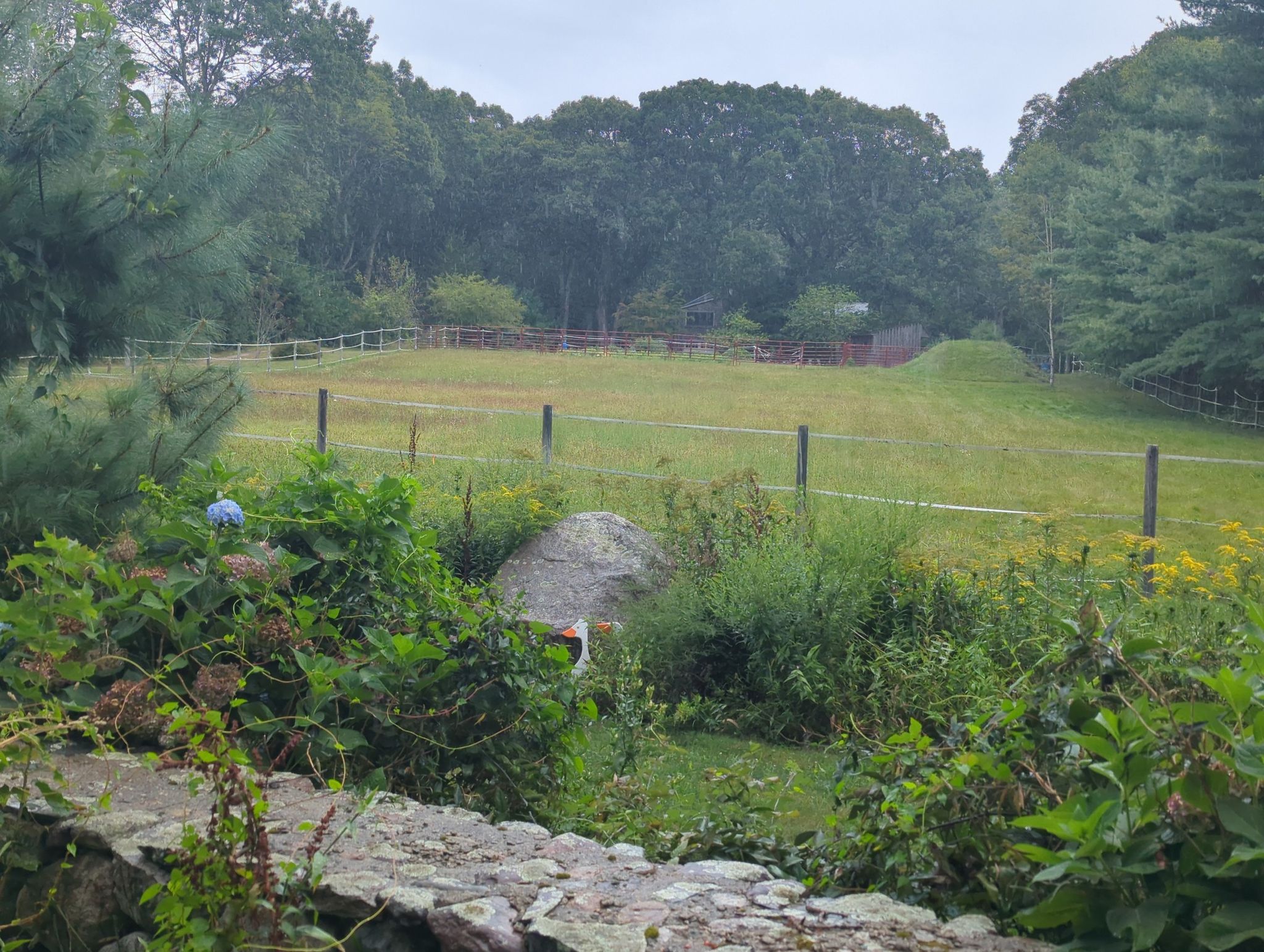 A fenced grassy field surrounded by trees and overgrown plants. - Lind Farm loop from Foxboro