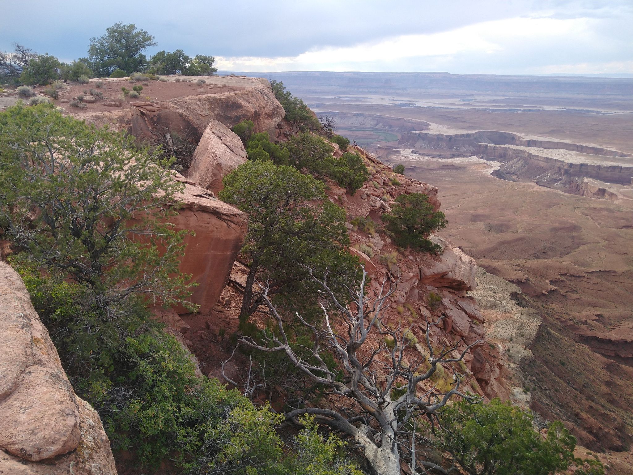 Steep red rock cliffside with green trees overlooking a wide canyon. - Murphy Point Trail