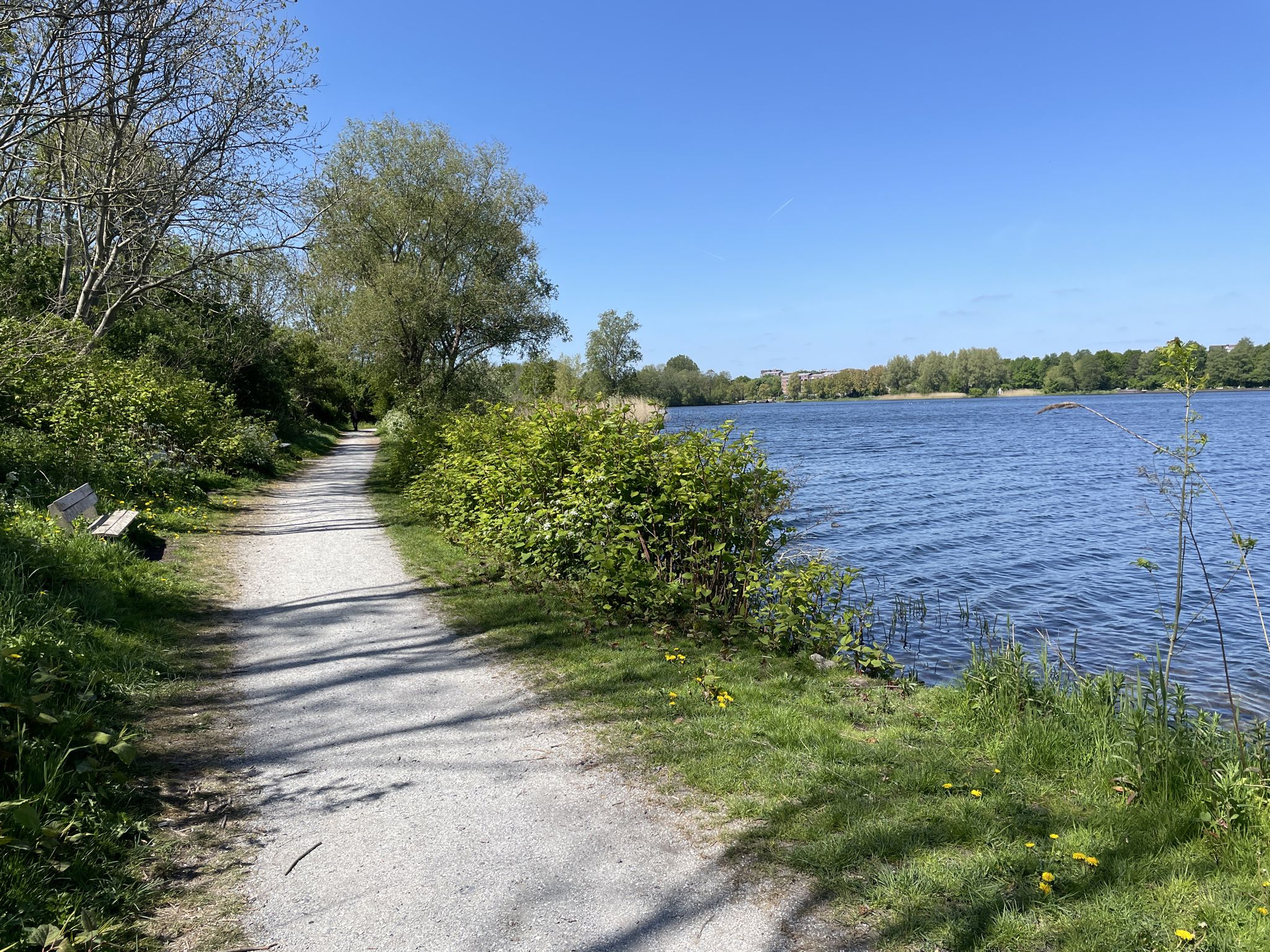 Gaasperplas
