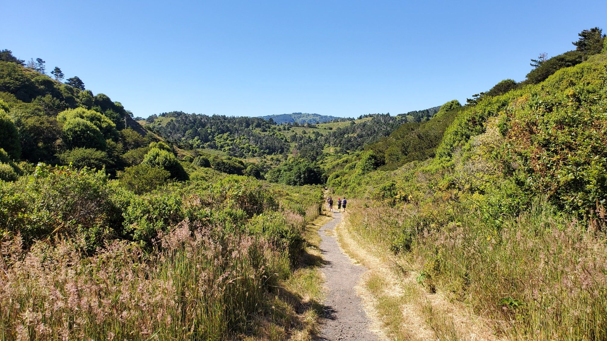 A dirt path through a green valley with distant hikers on a sunny day. - Laguna and Coast Trail loop