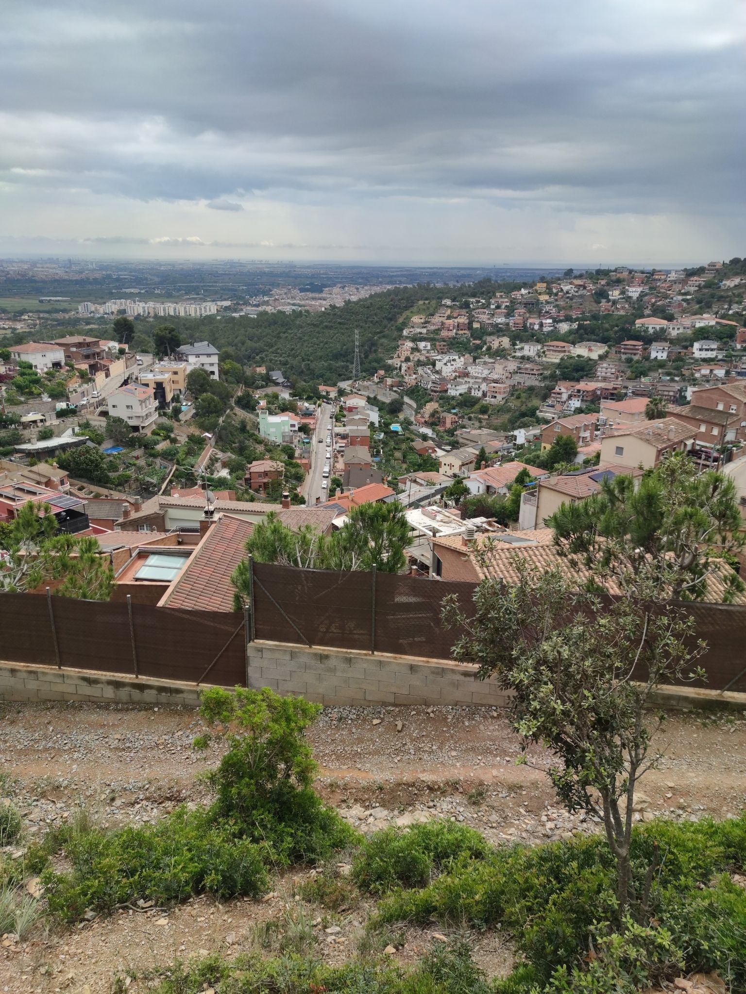 (Les cases de las Urbanizacións de Cesalpina)