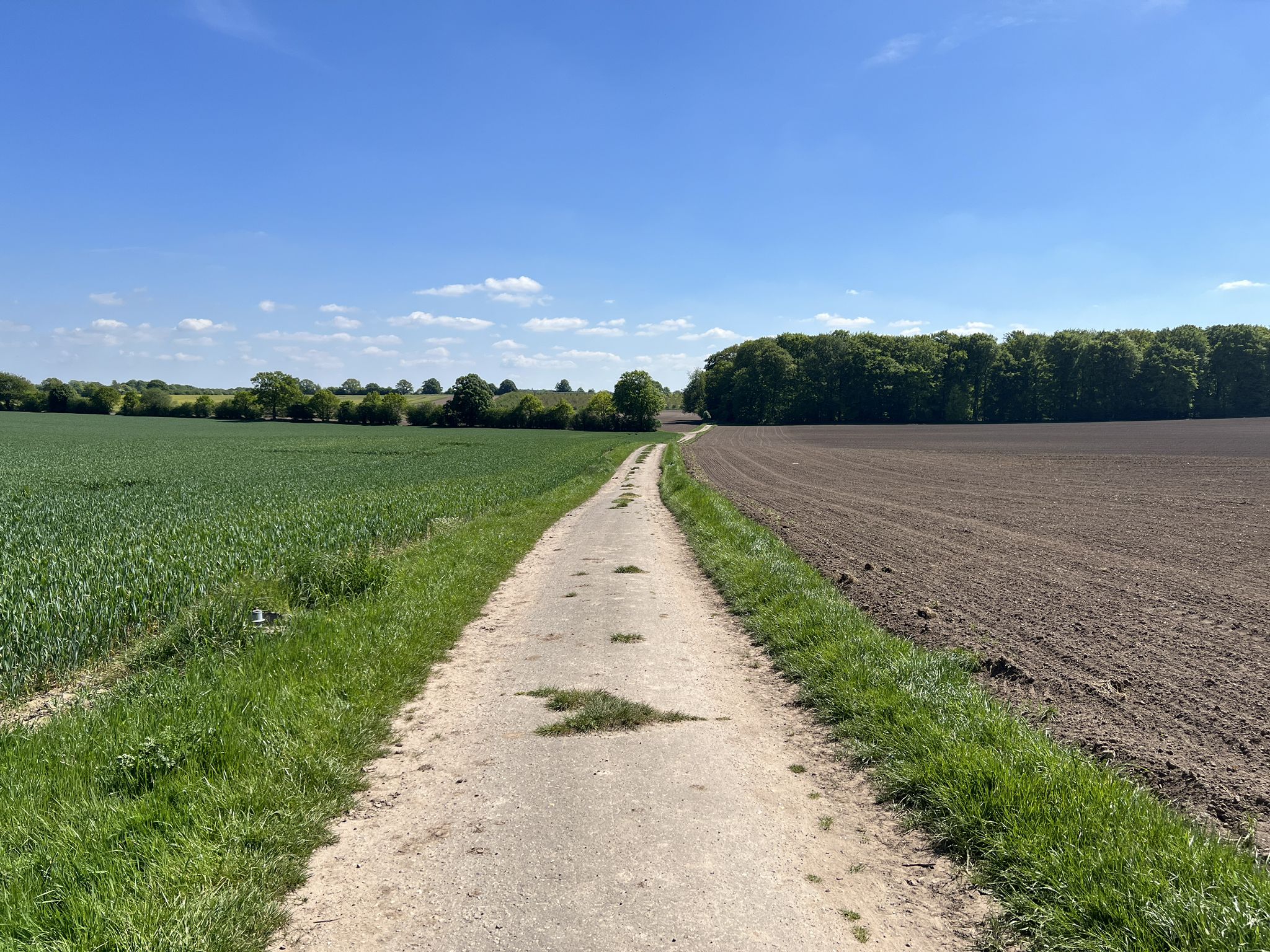 in dem hinten zu sehenden Wald kam die Reifenpanne