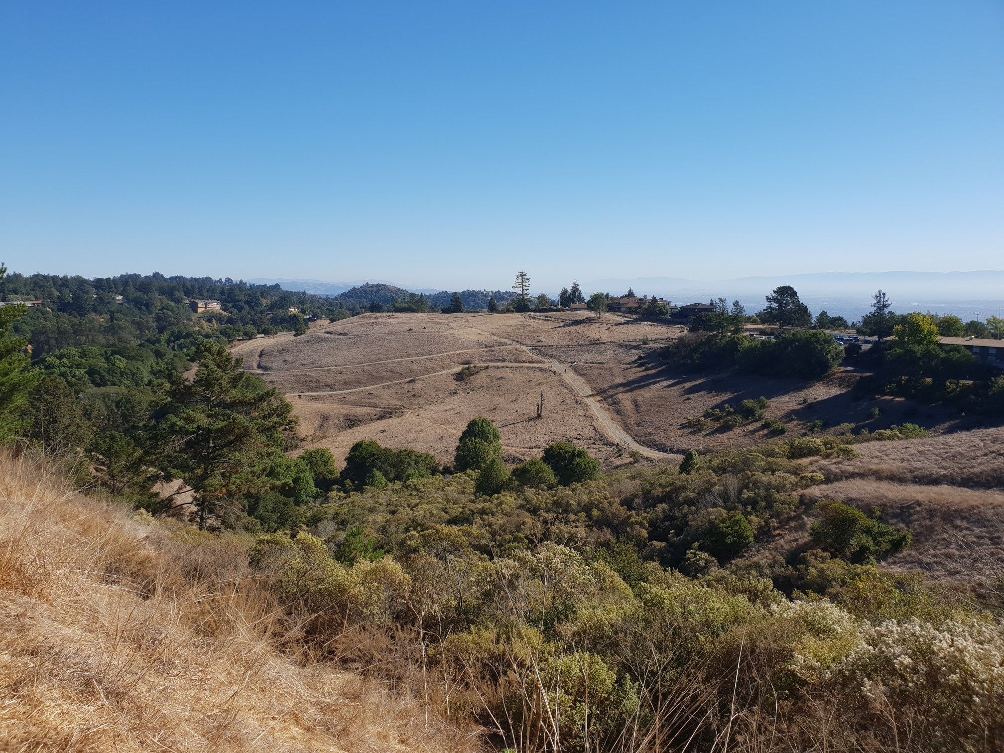 Wide view of golden grassy hills and green trees under a clear blue sky. - Dunn Trail