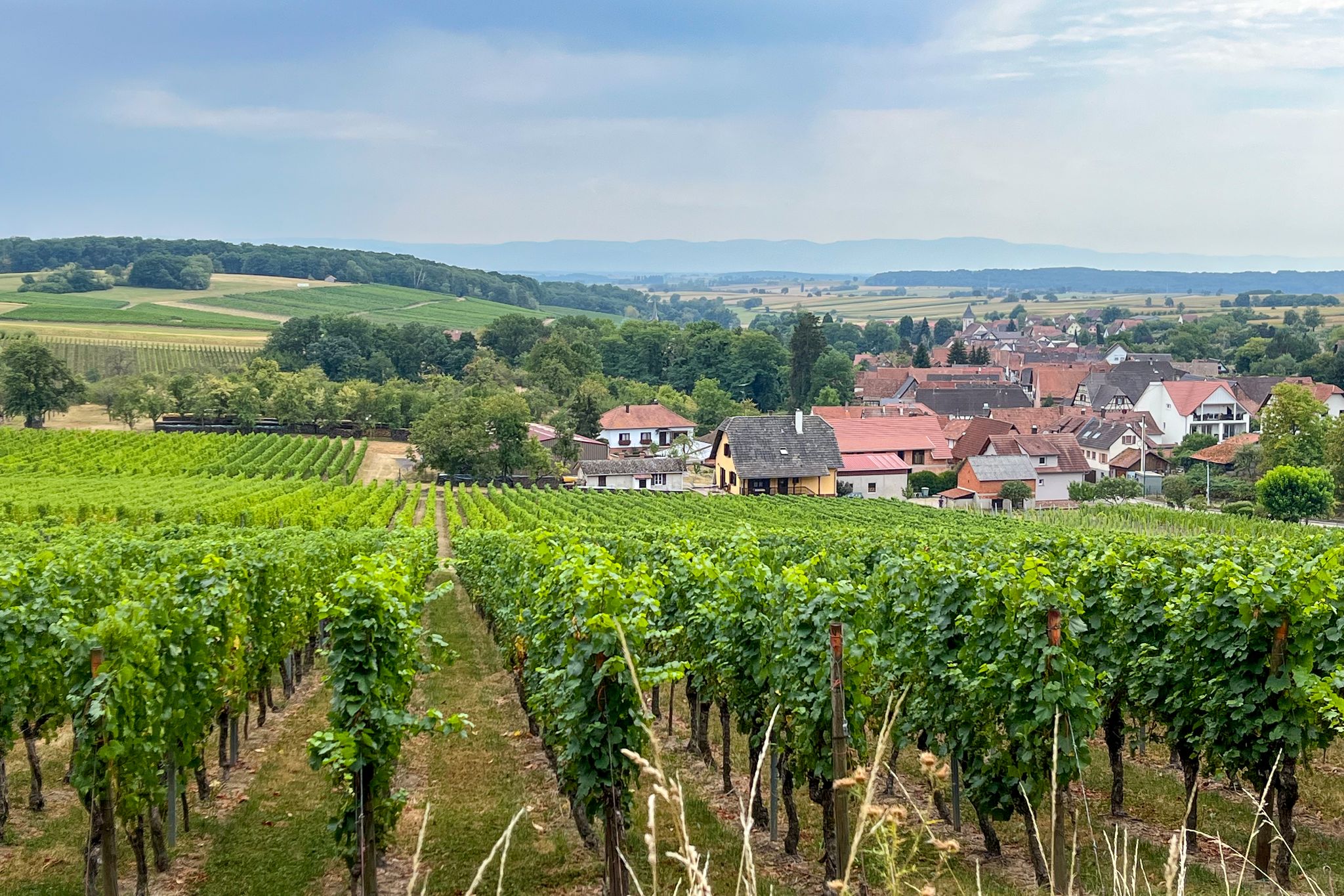 Blick nach Cleebourg