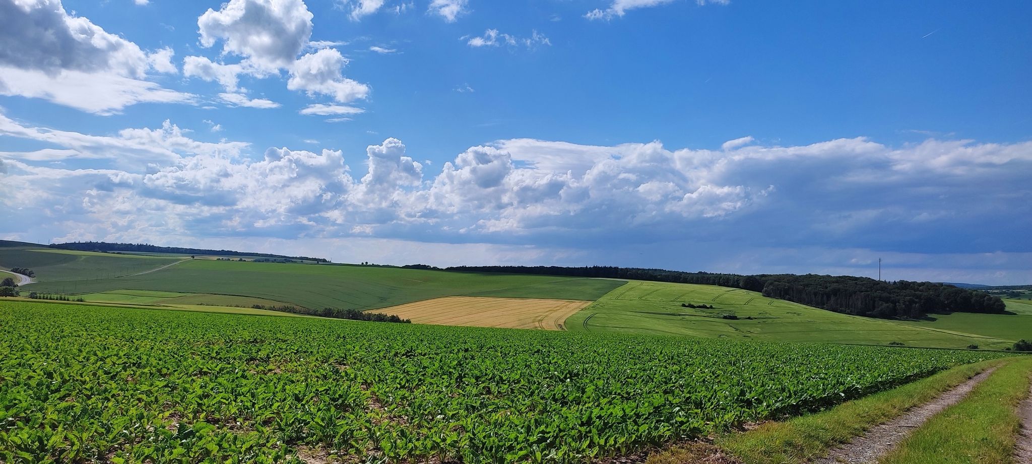 Ausblick - bei Messelhausen