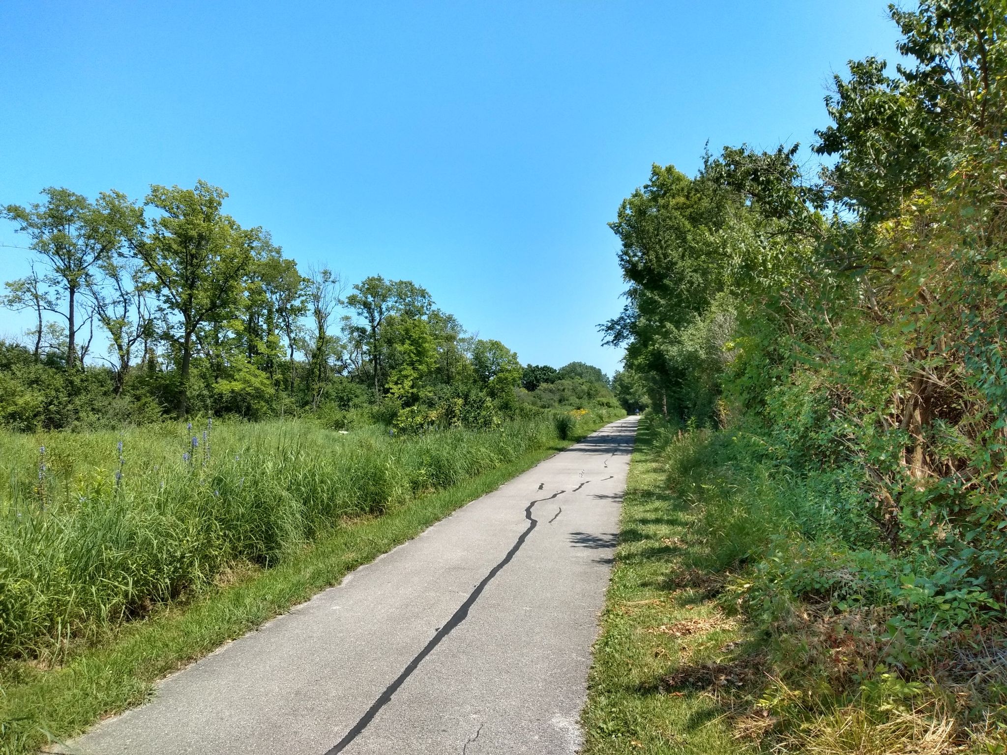 A paved path winding through green fields and trees under a blue sky. - Old Plank Road Trail