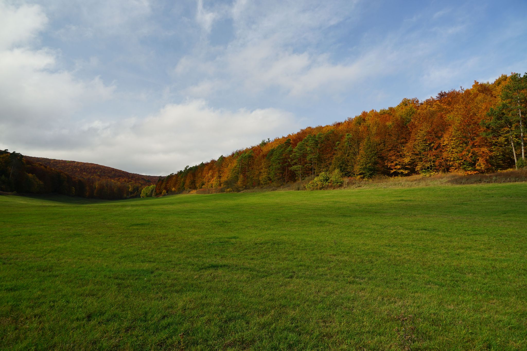Blick vom Sülzetal-Radweg