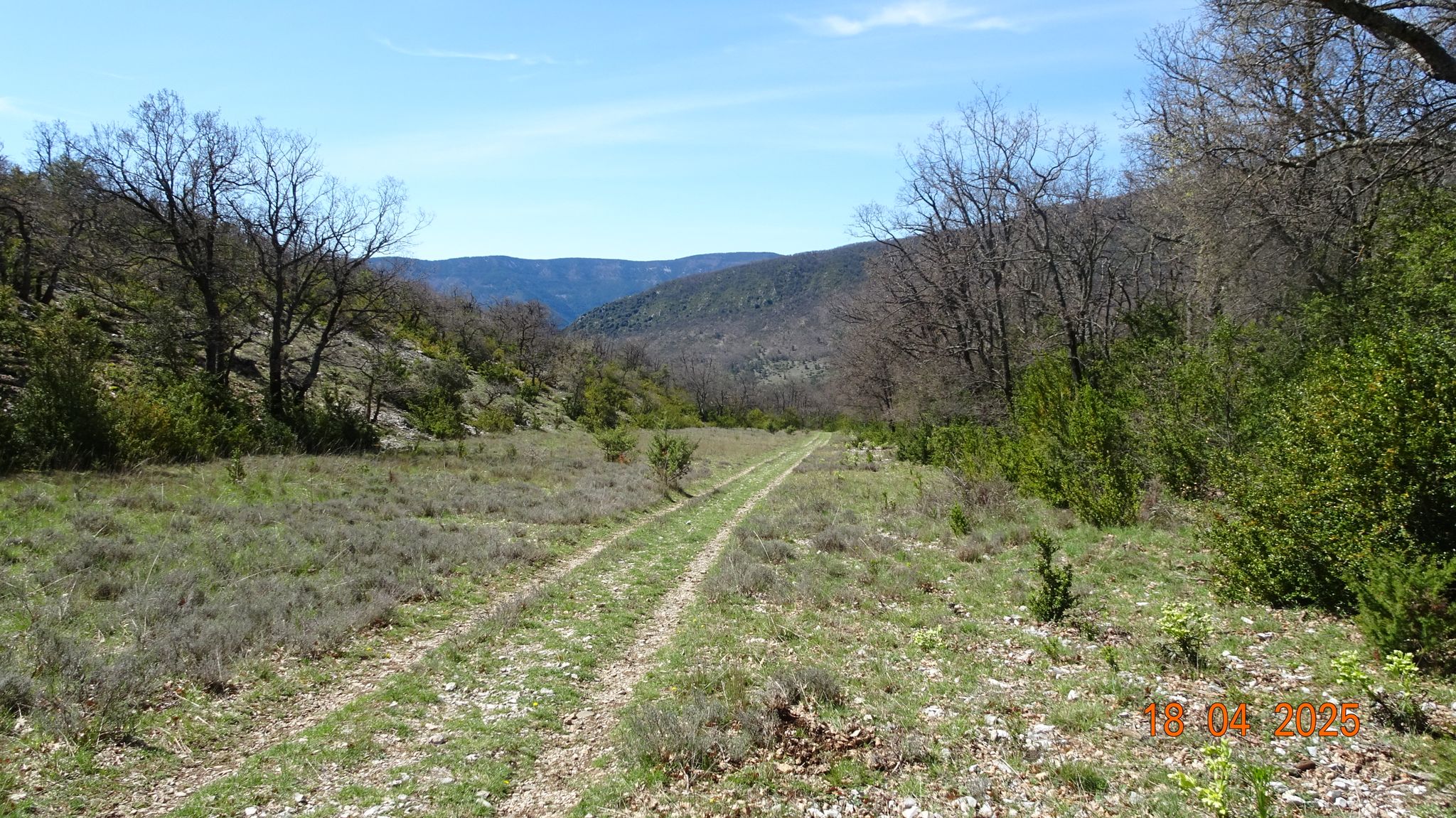 Ravin de la combe du Bohémien
