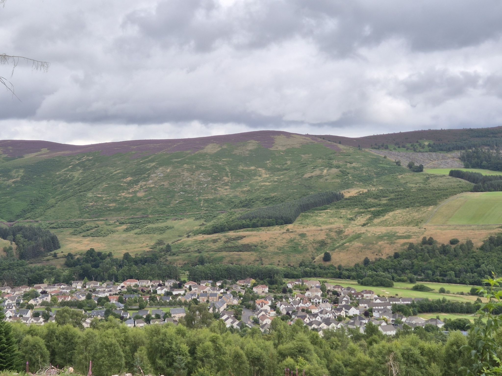 Cardrona