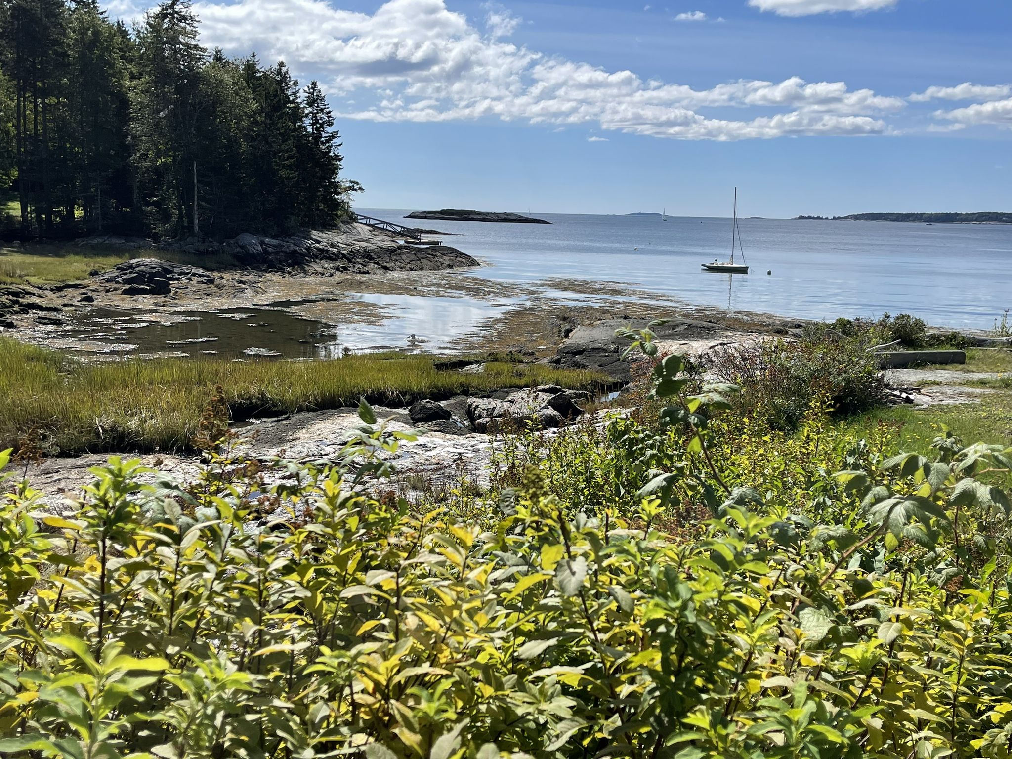 Sunny coastal inlet with a sailboat, rocky shore, and green marsh plants. - Southport Island loop from Oak Point Farm