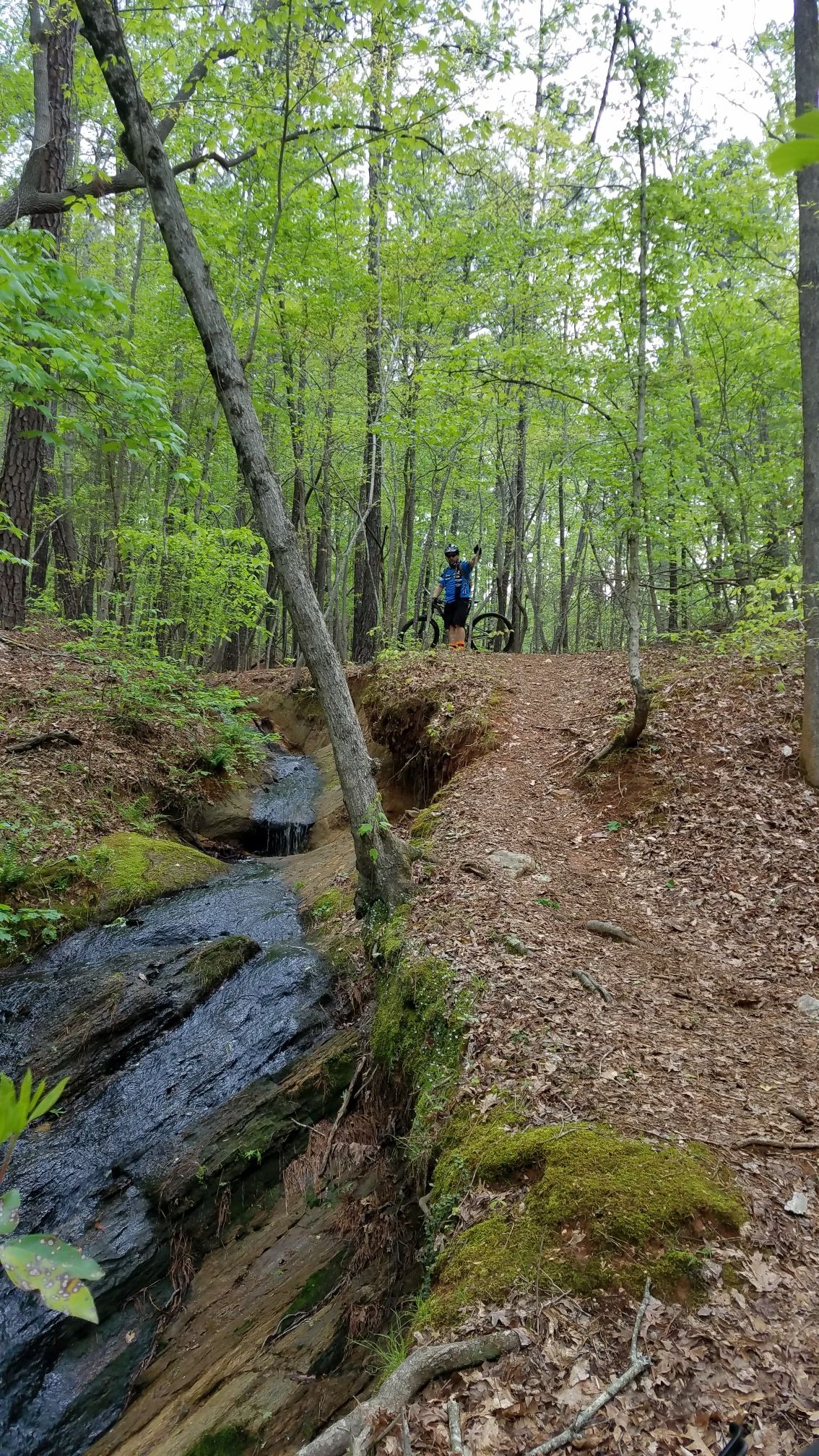 A person with a mountain bike on a dirt trail next to a small stream. - Rocky Road Trail