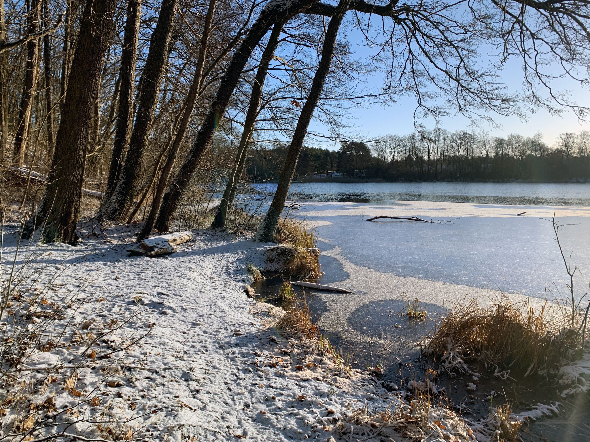 Pfad am Langer See