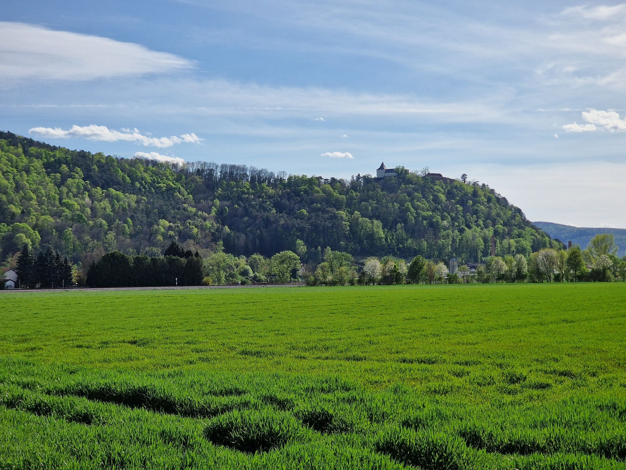 Blick zurück auf Schloss Pitten