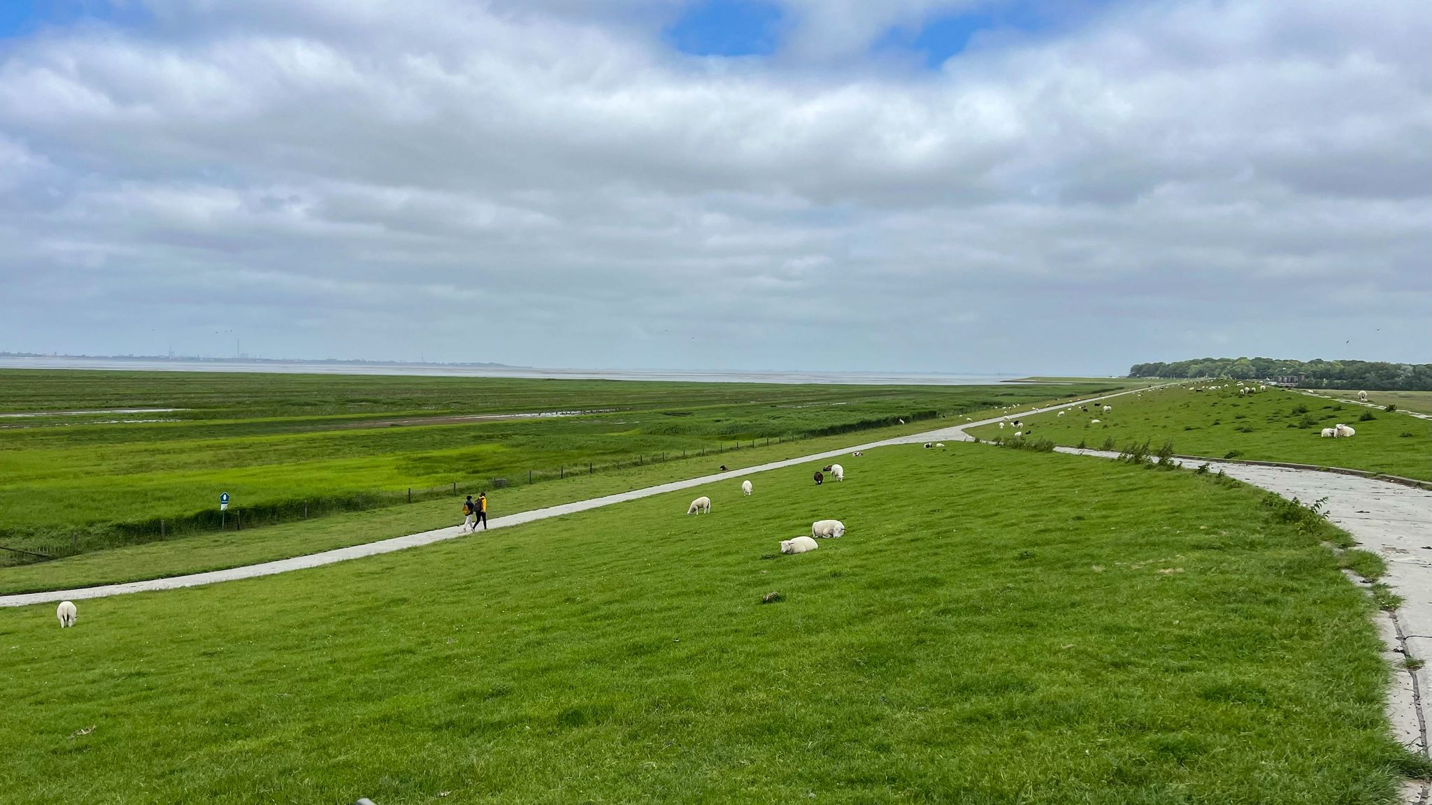 Blick vom Deich bei Dangast