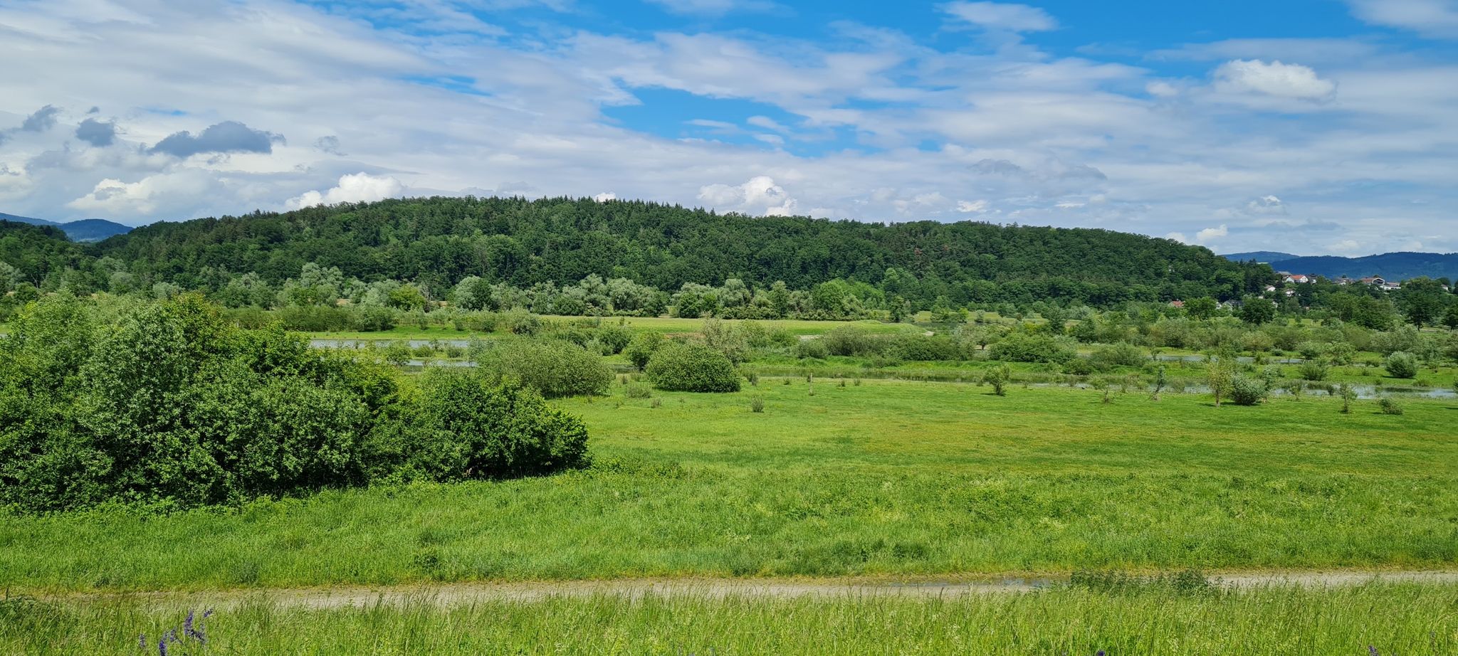 Donauradweg