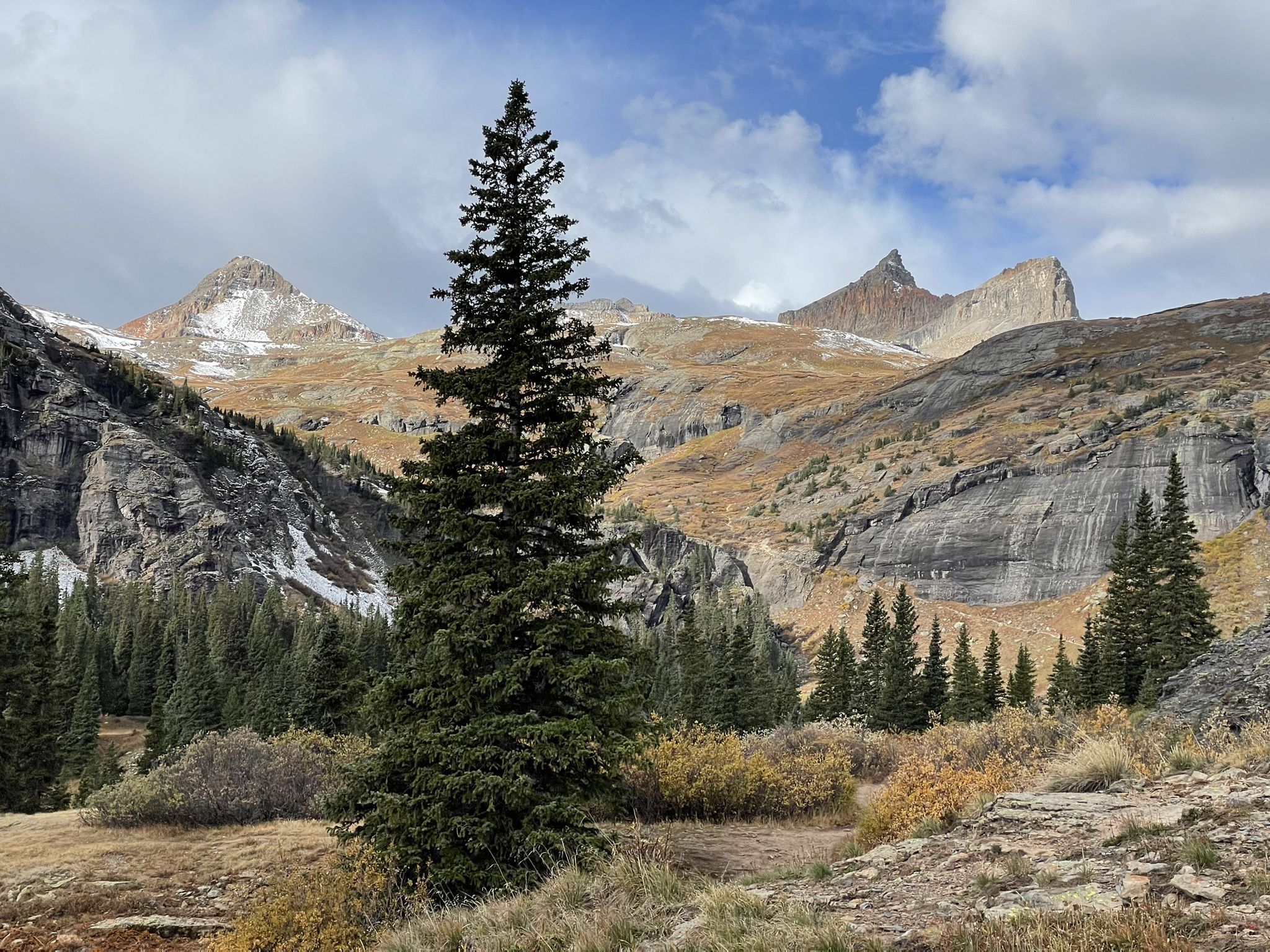 Tall evergreen tree in a mountain valley with rocky peaks and cloudy sky. - Ice Lakes Trail