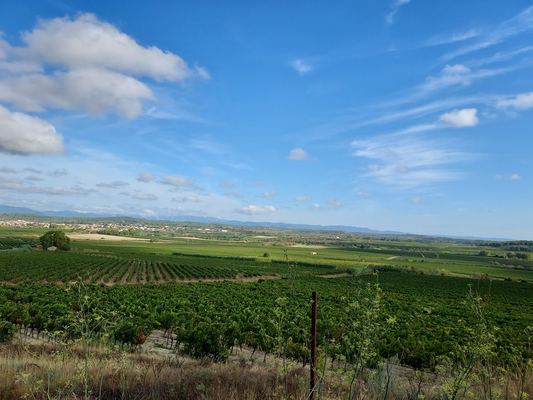 vue de Puisserguier