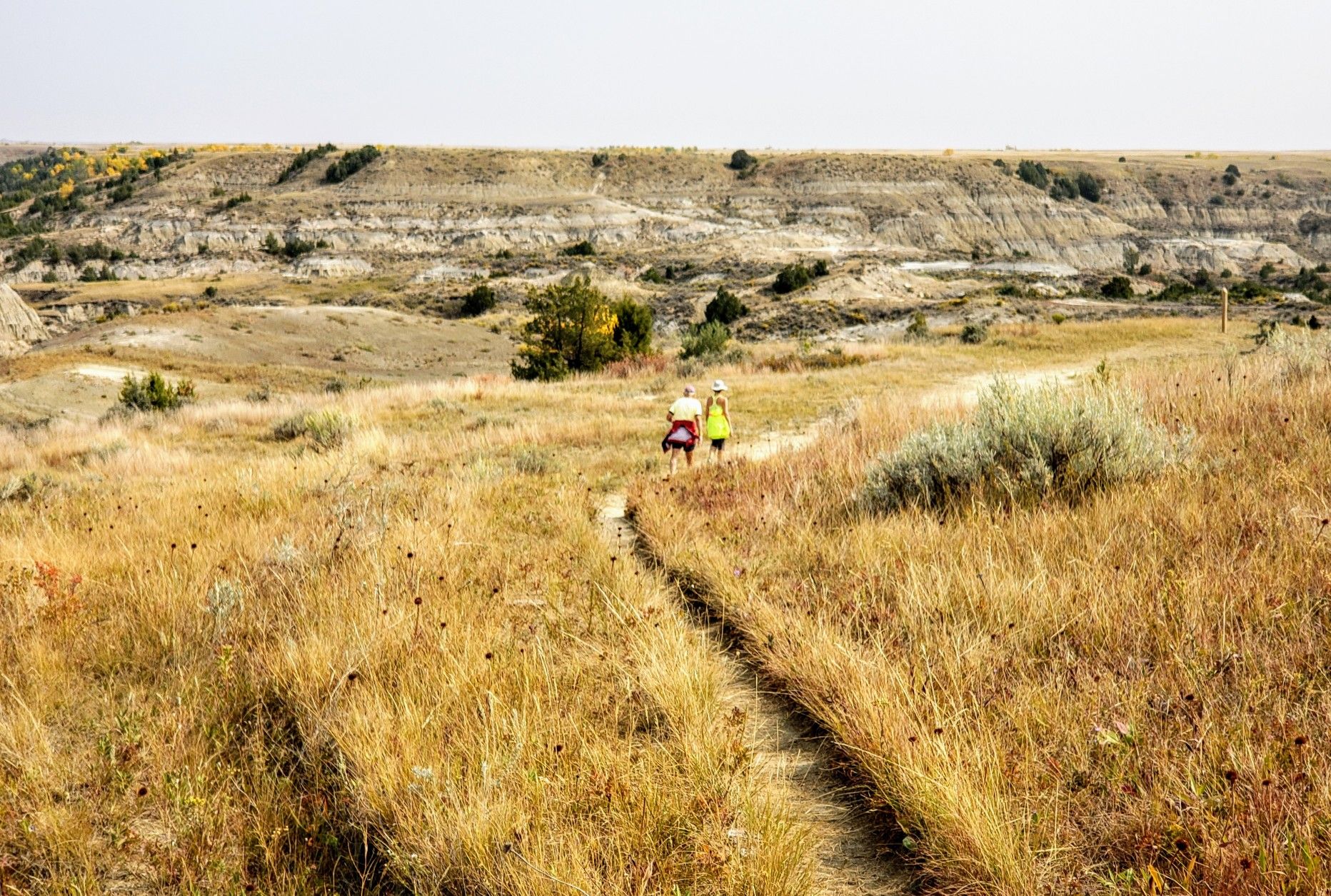 Two hikers walk on a narrow path through golden grass towards distant hills. - Petrified Forest Loop