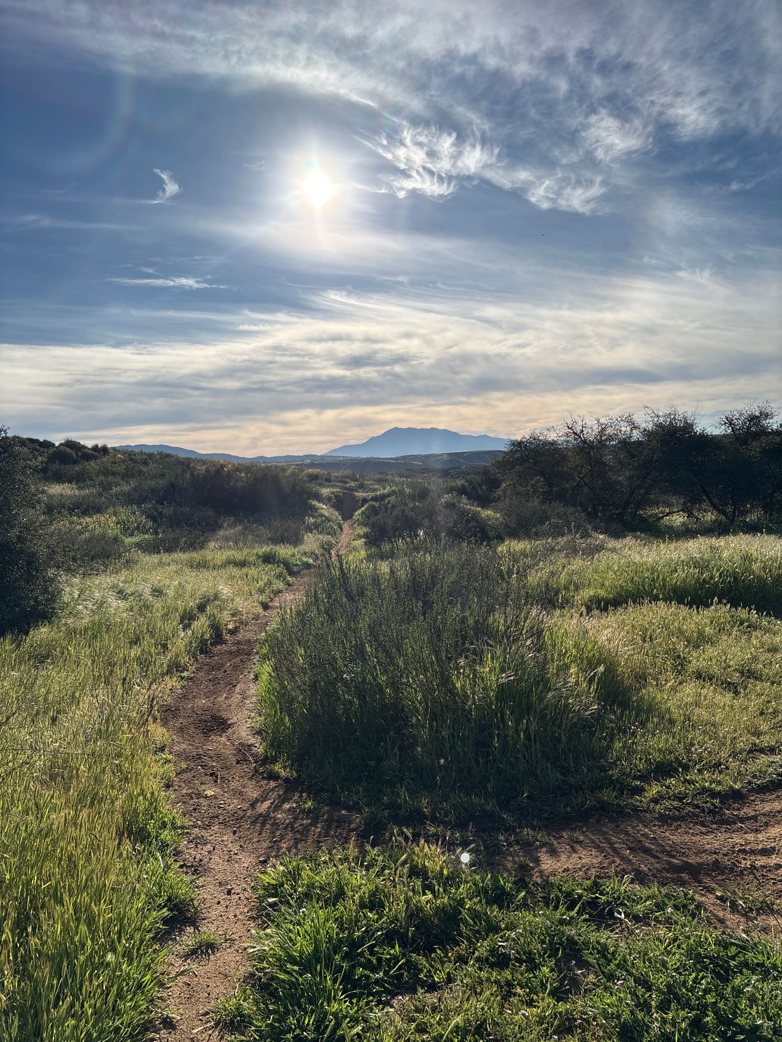 Dirt path through green fields under bright, cloudy sky with distant mountains. - Oakmont and Oakridge Trail